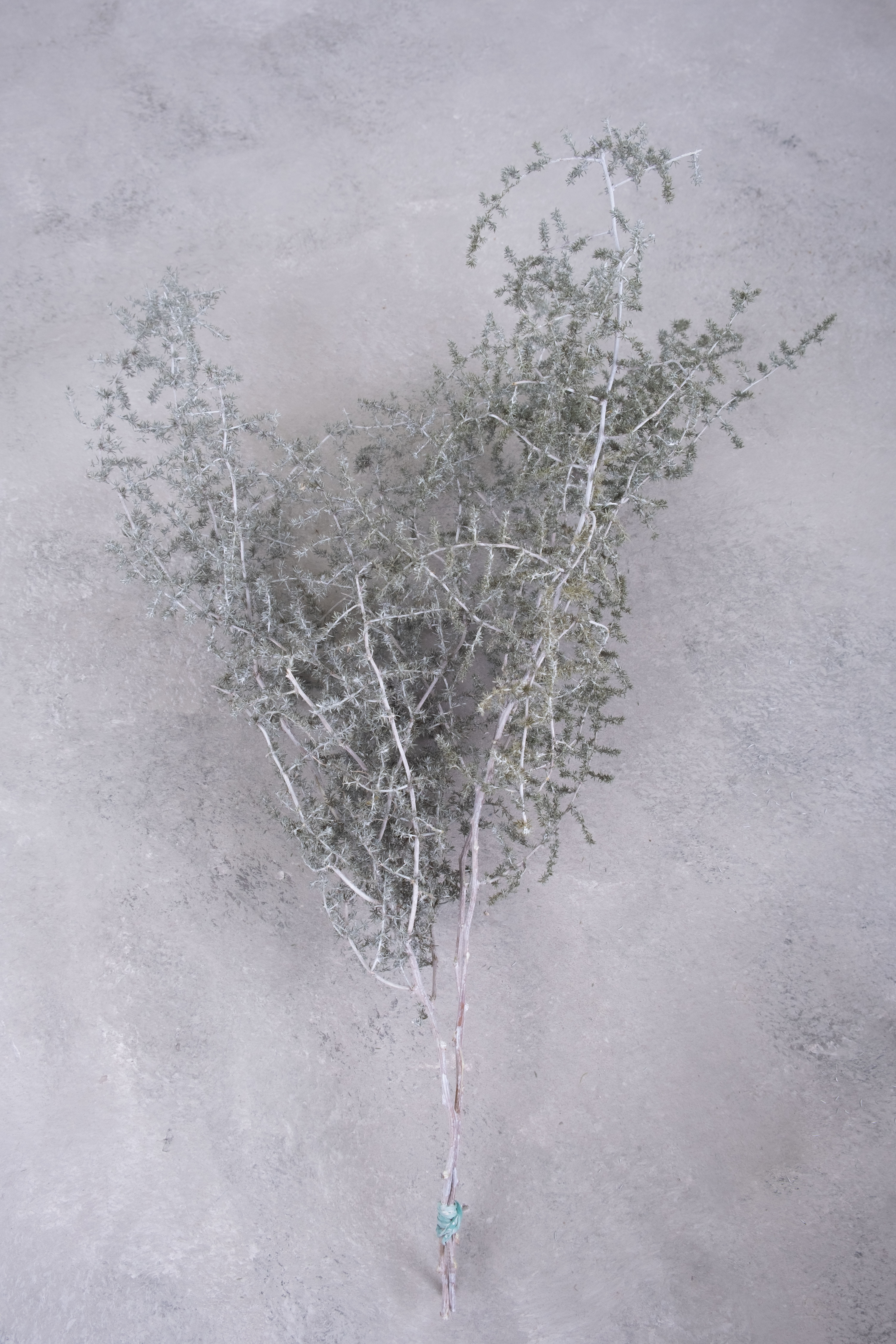 White-wash
