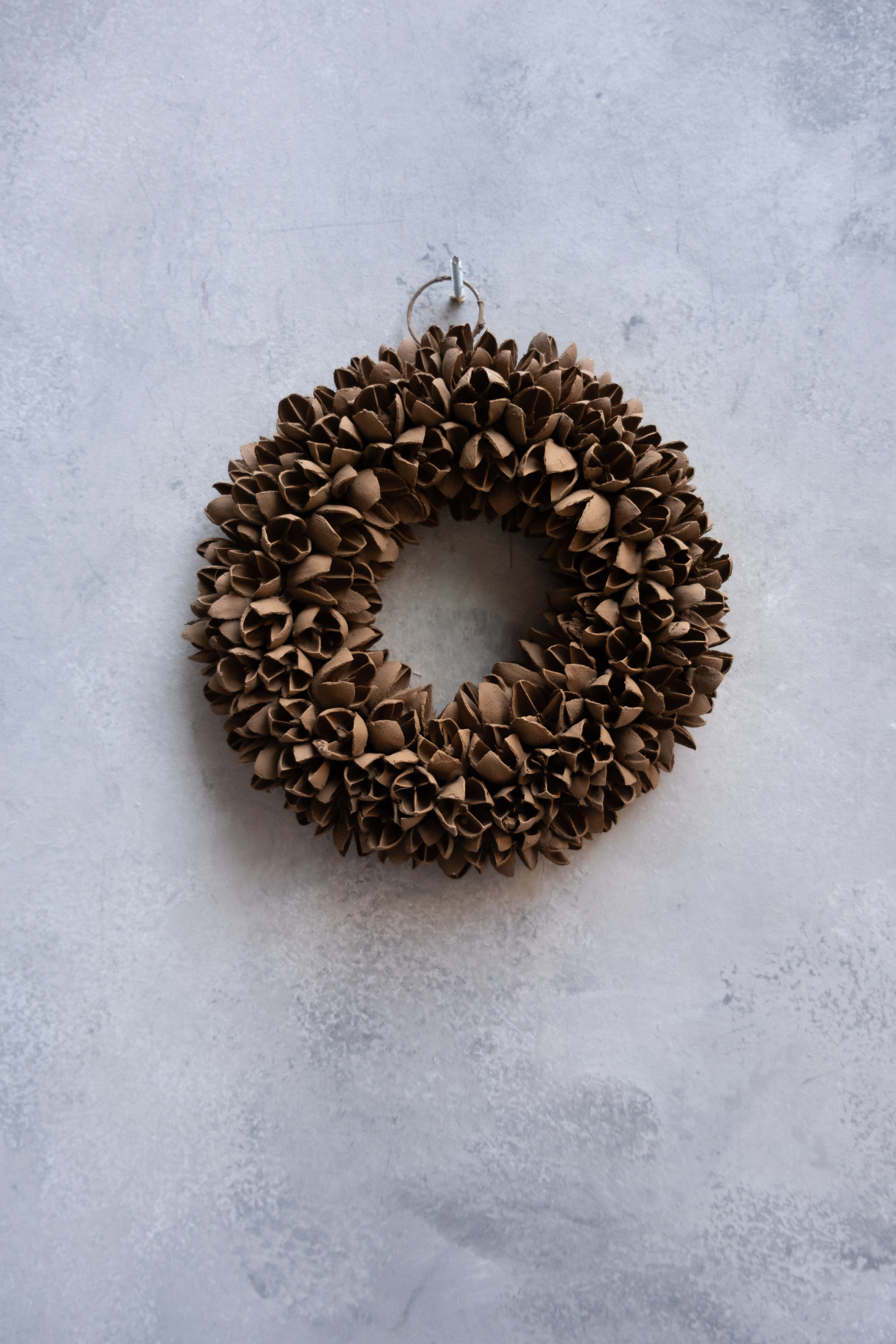Cocoa