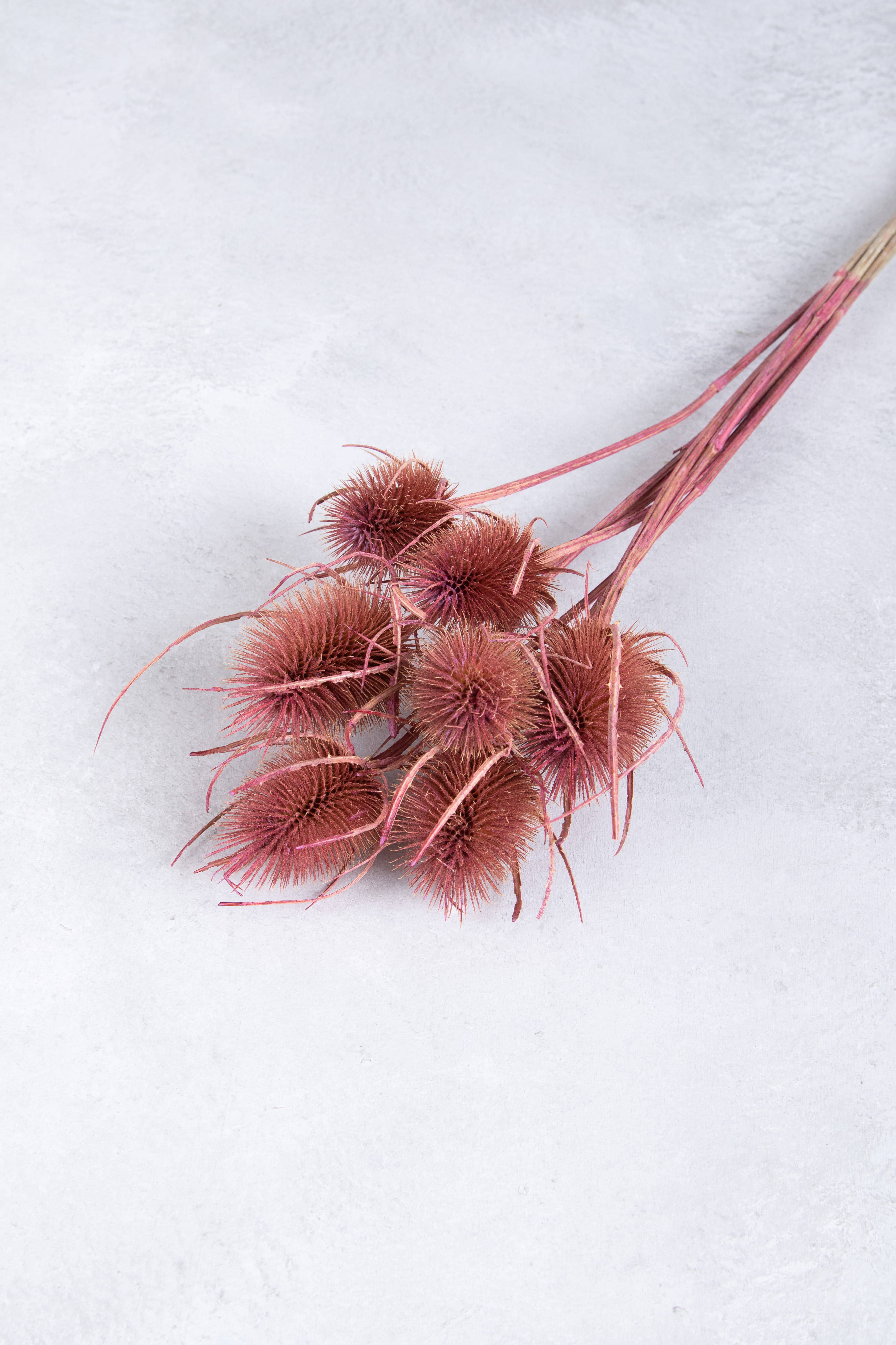 Old pink