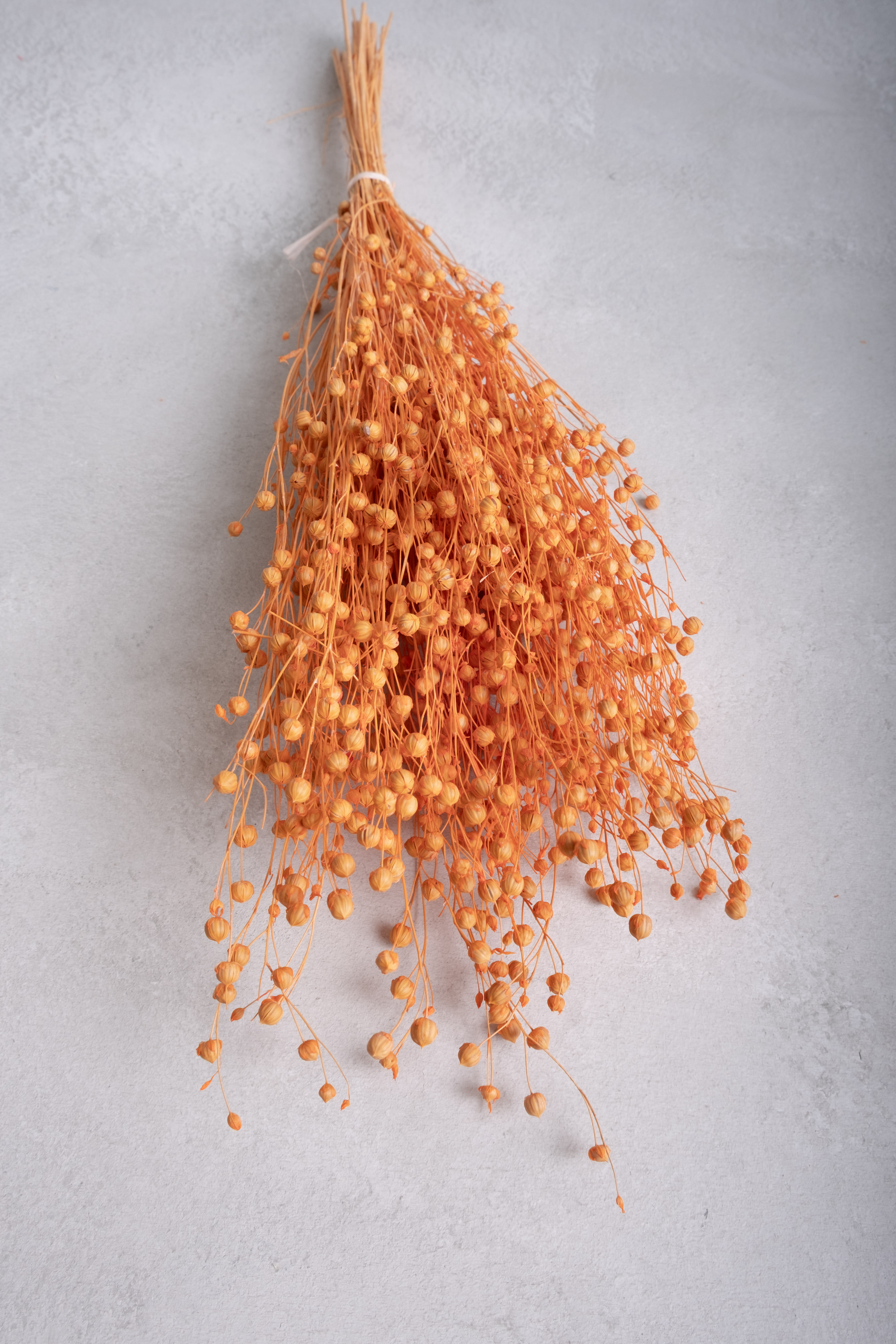 Soft orange