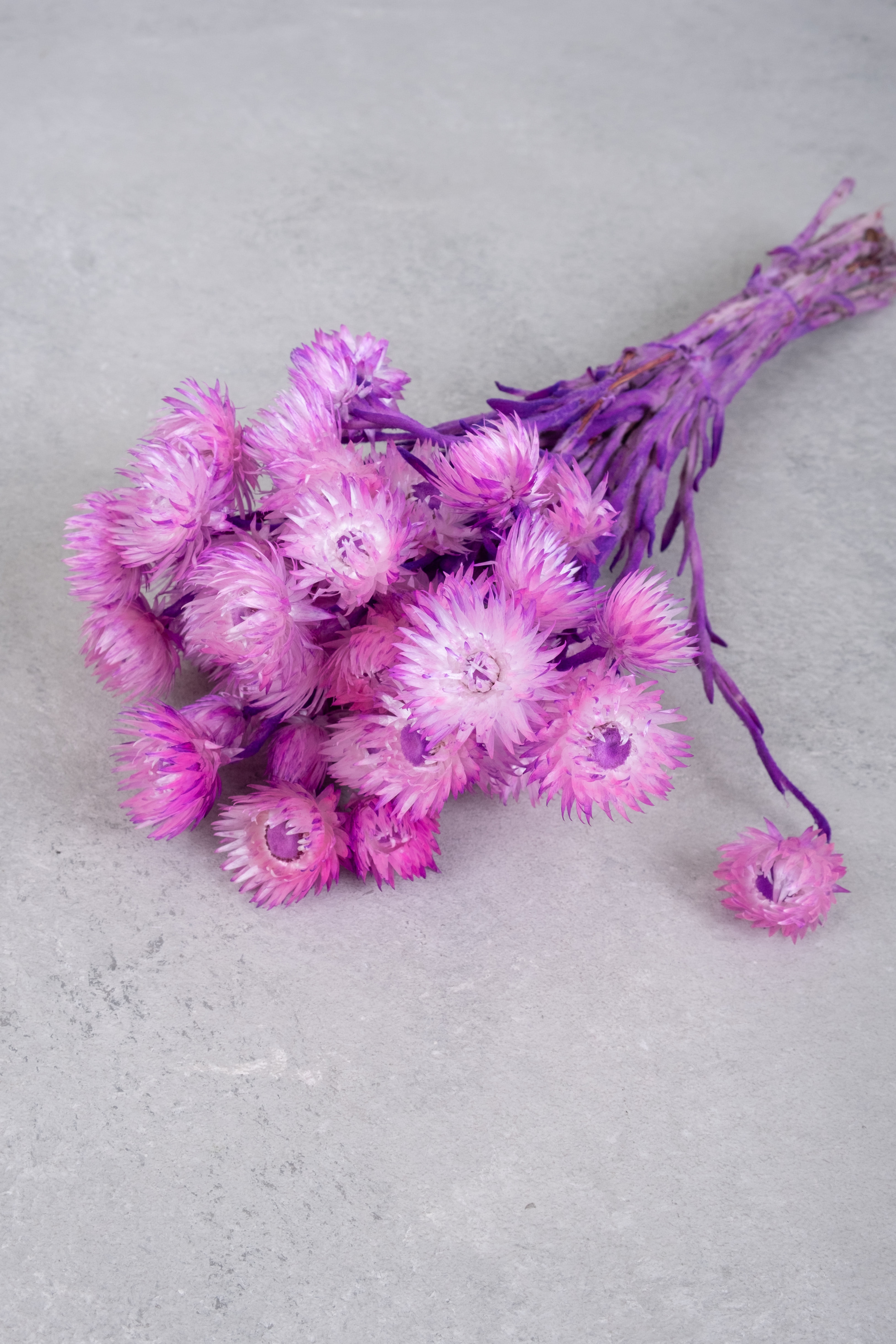 Dark pink