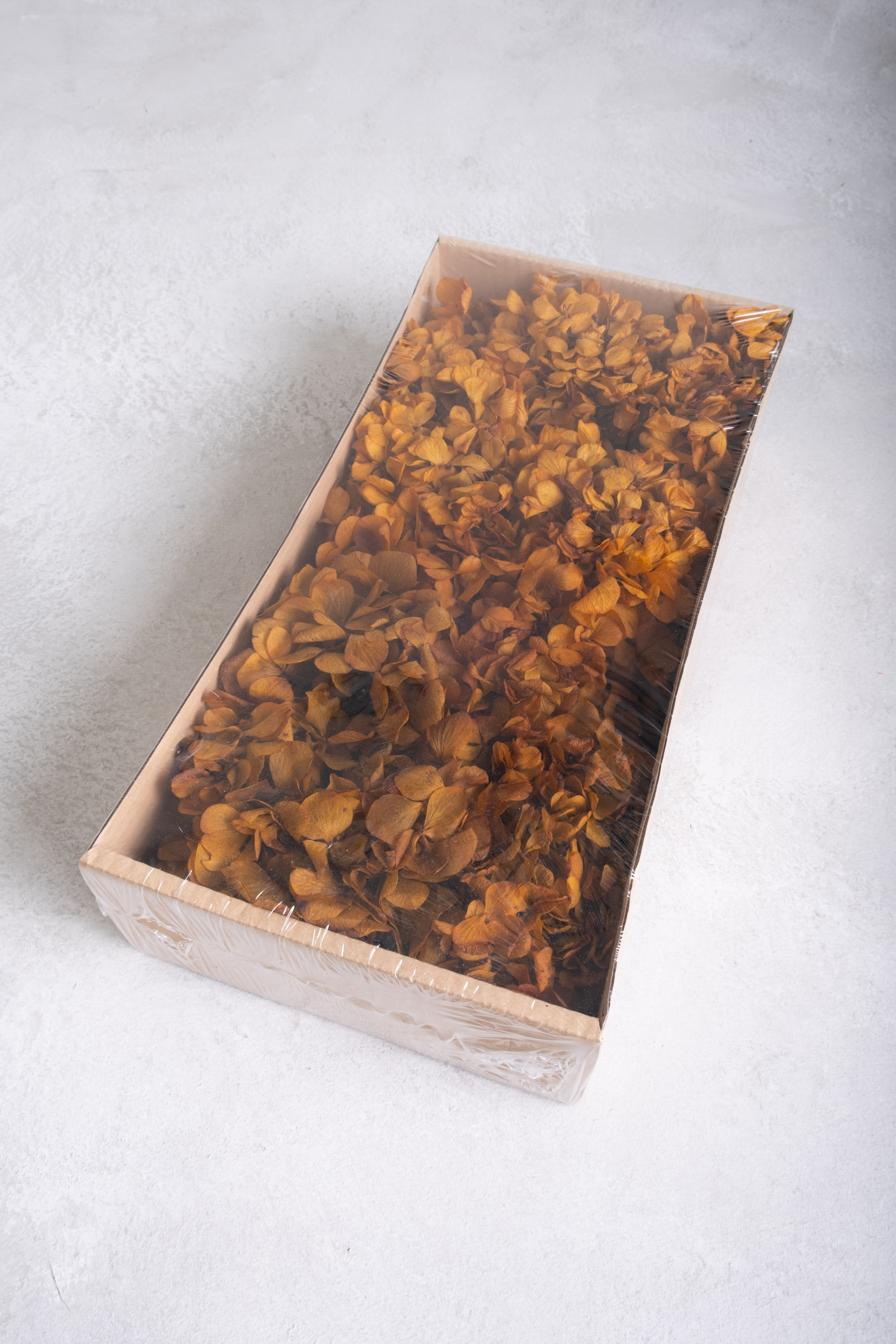 Cognac
