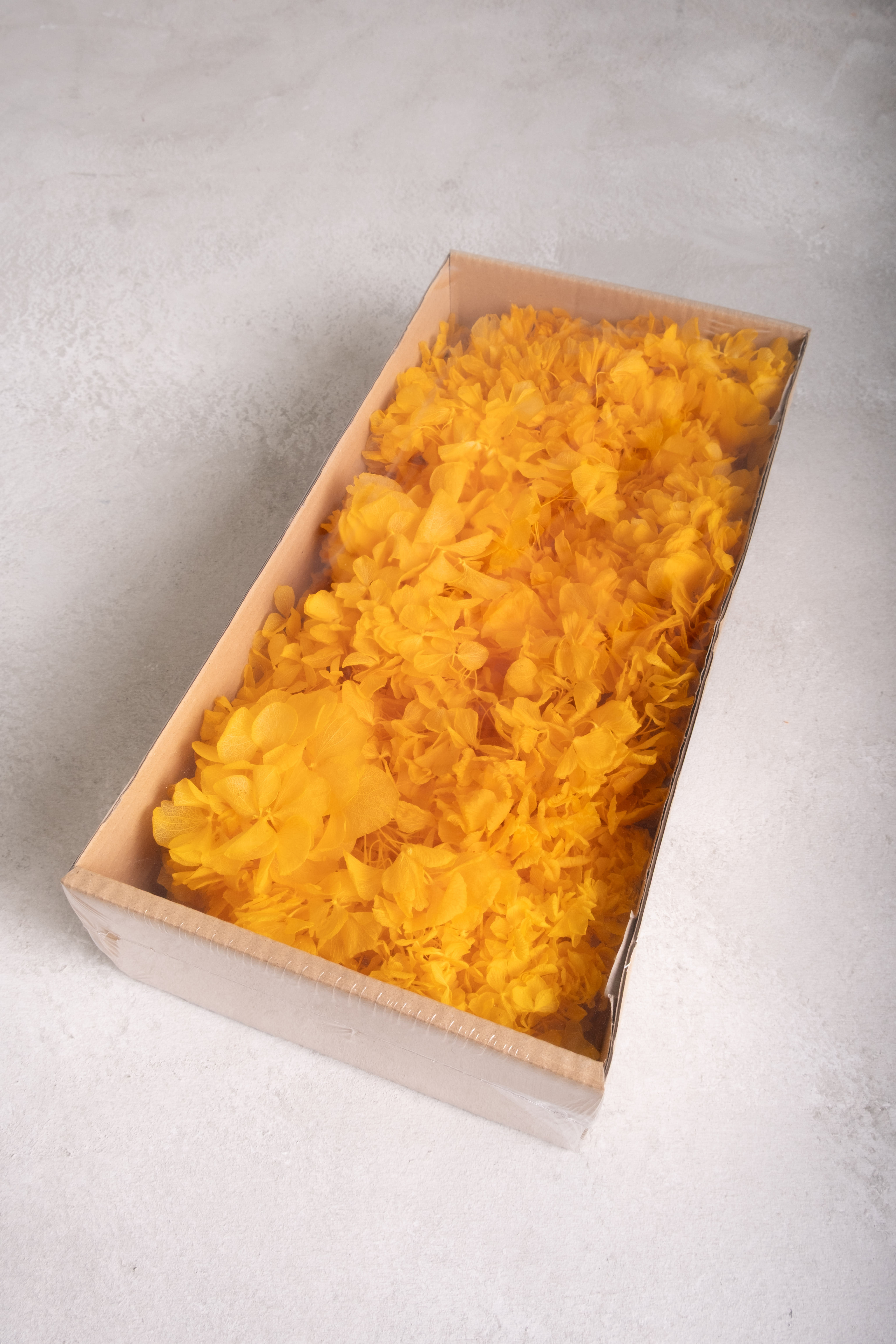 Dark yellow