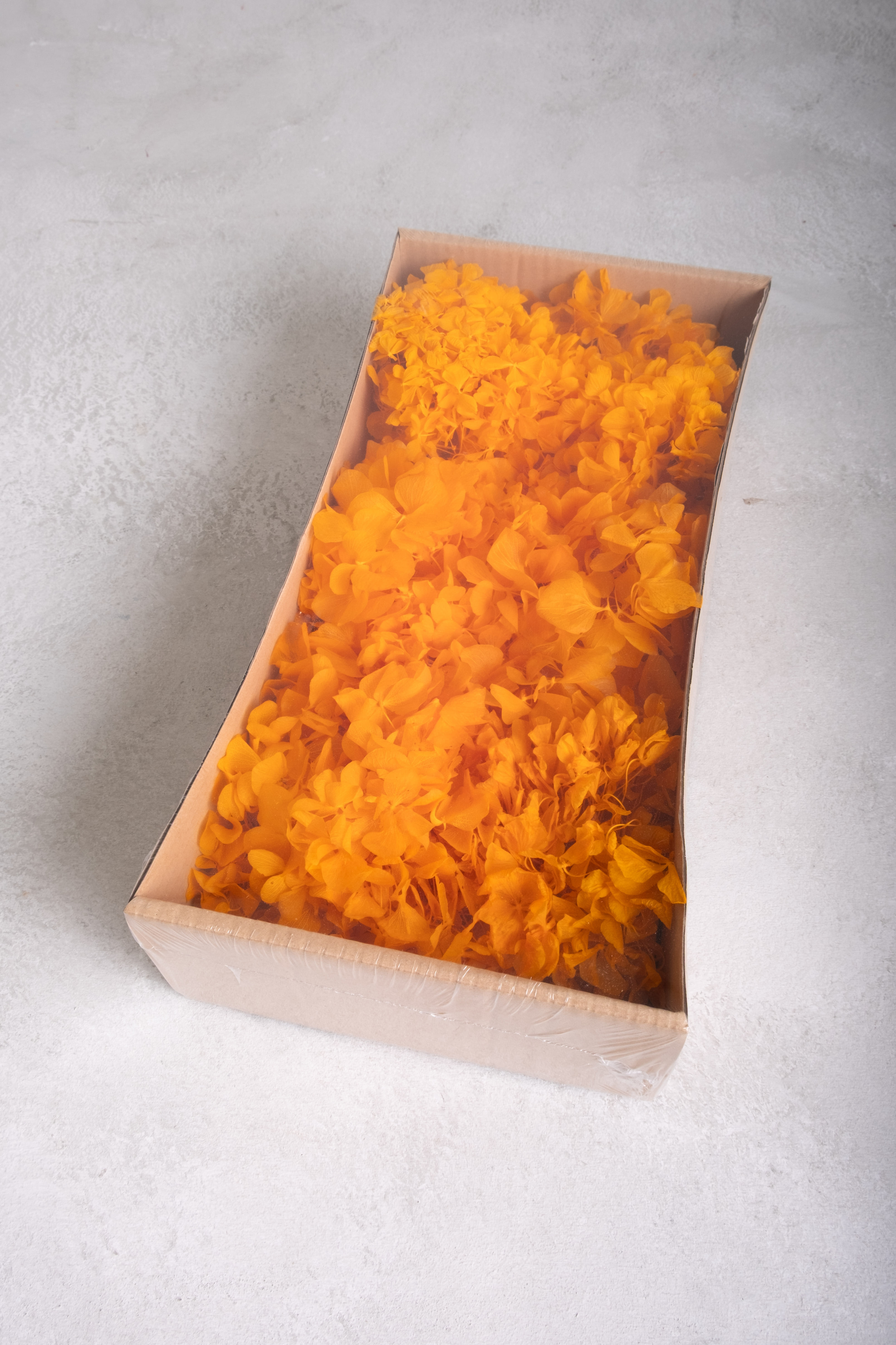 Light orange