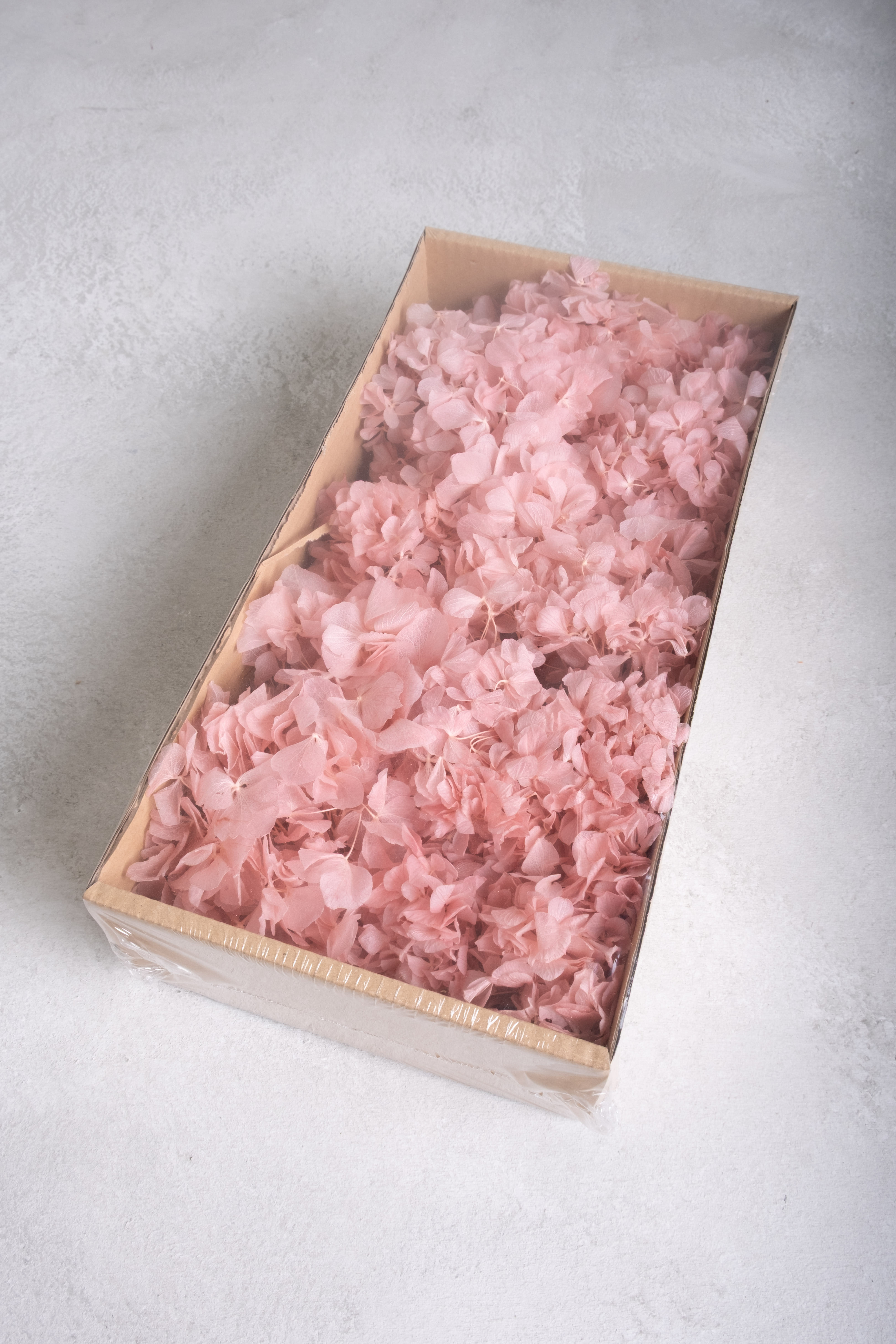 Powder pink