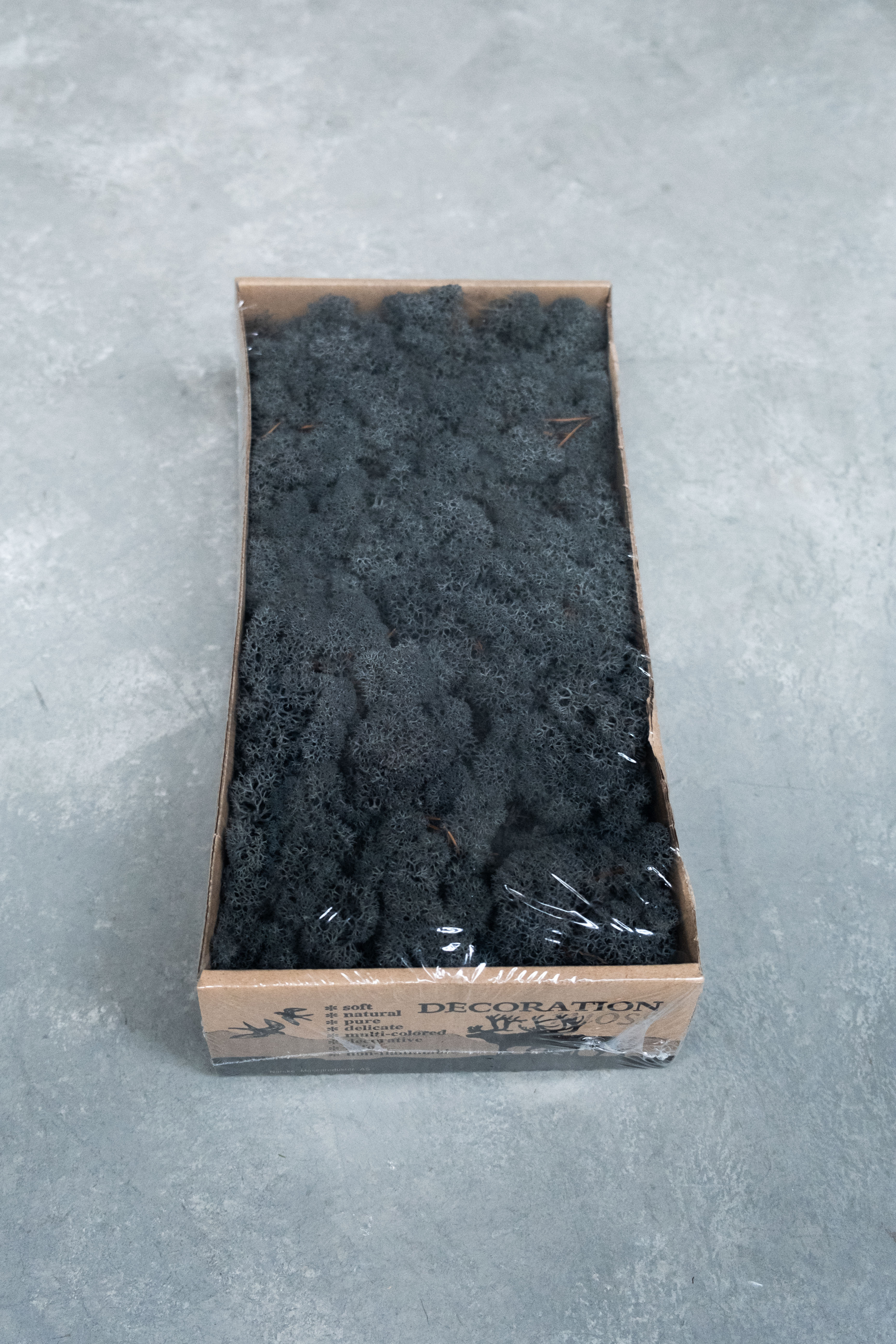 Reindeer moss 500gr anthracite