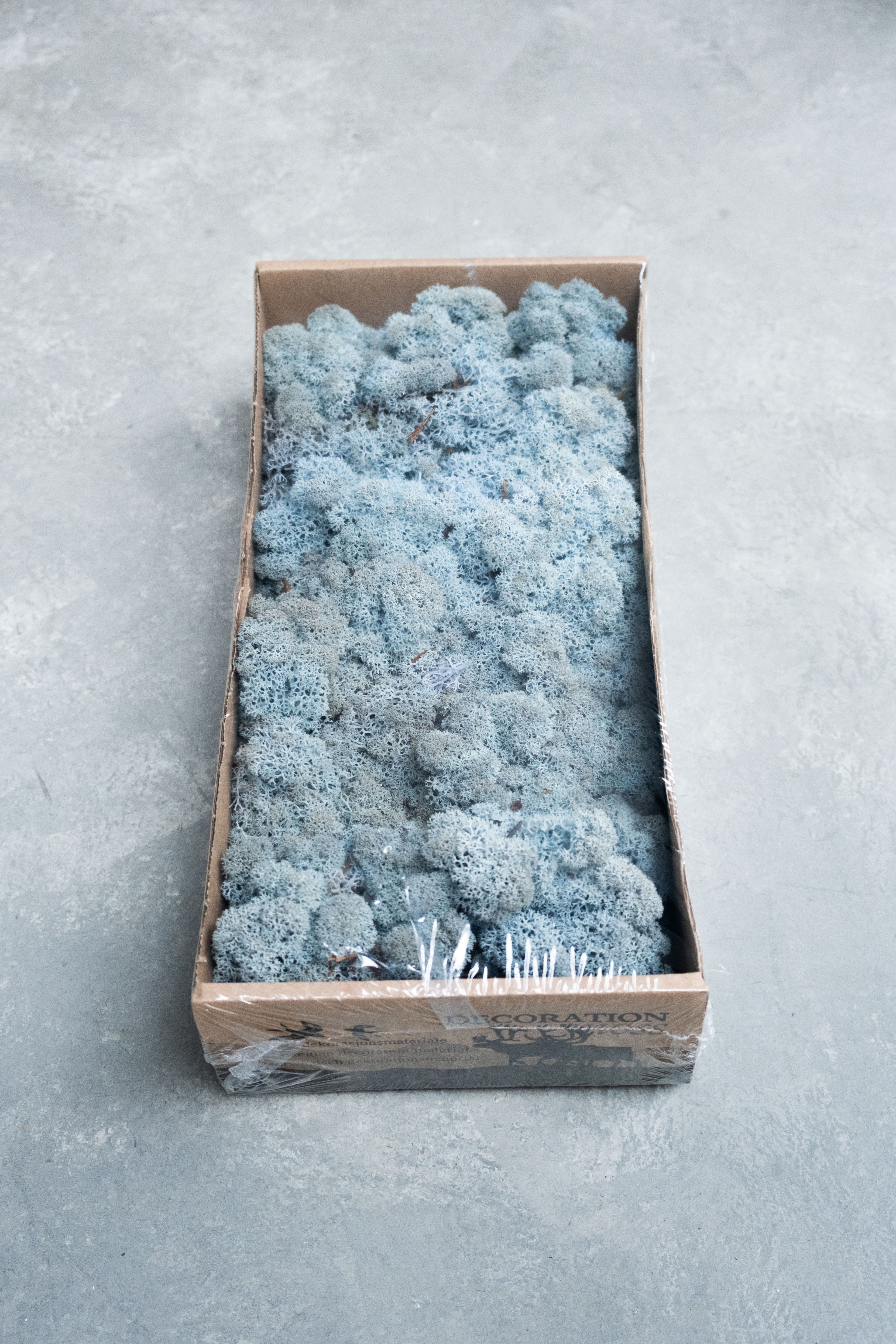Reindeer moss 500gr iceblue