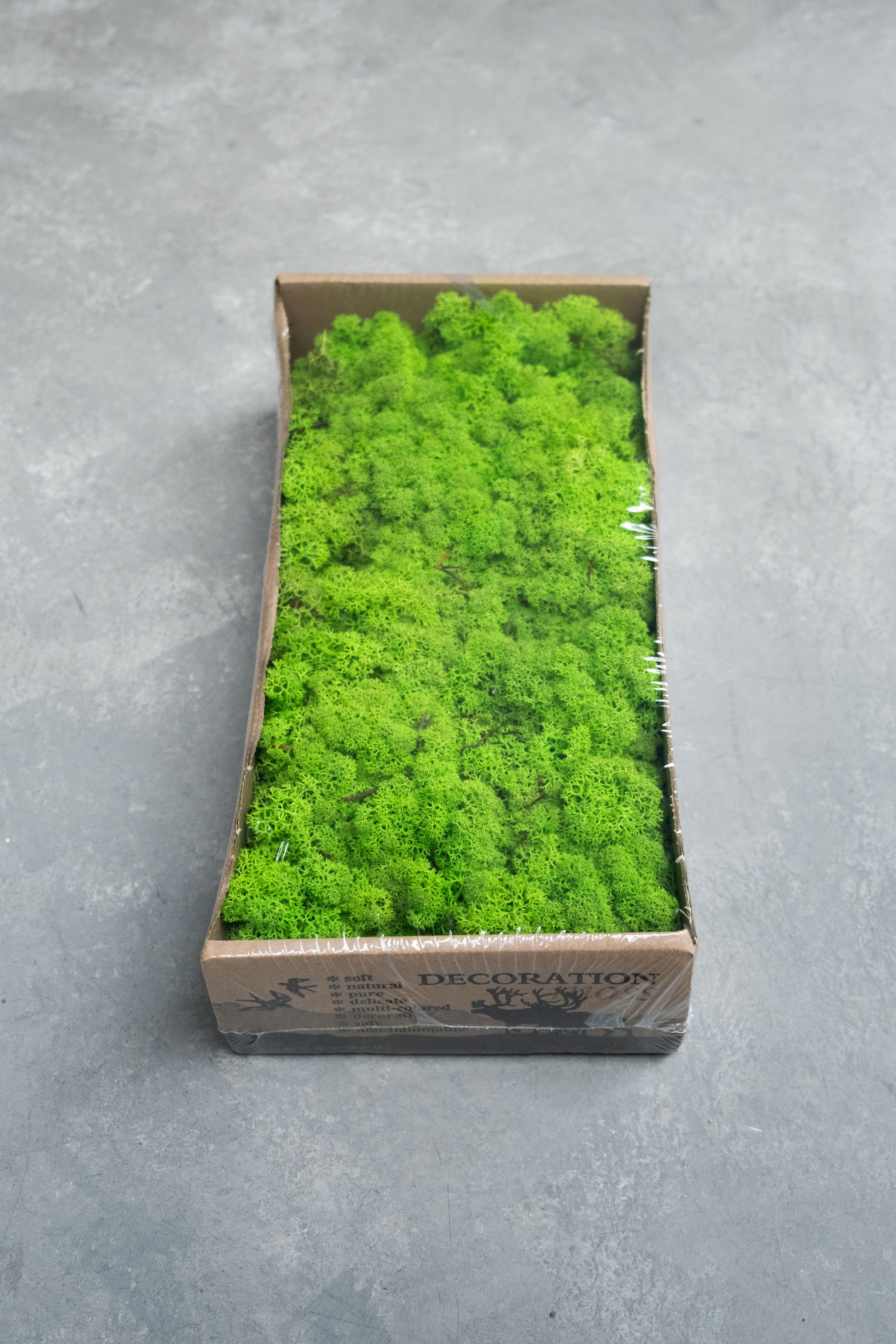 Reindeer moss 500gr light grass green