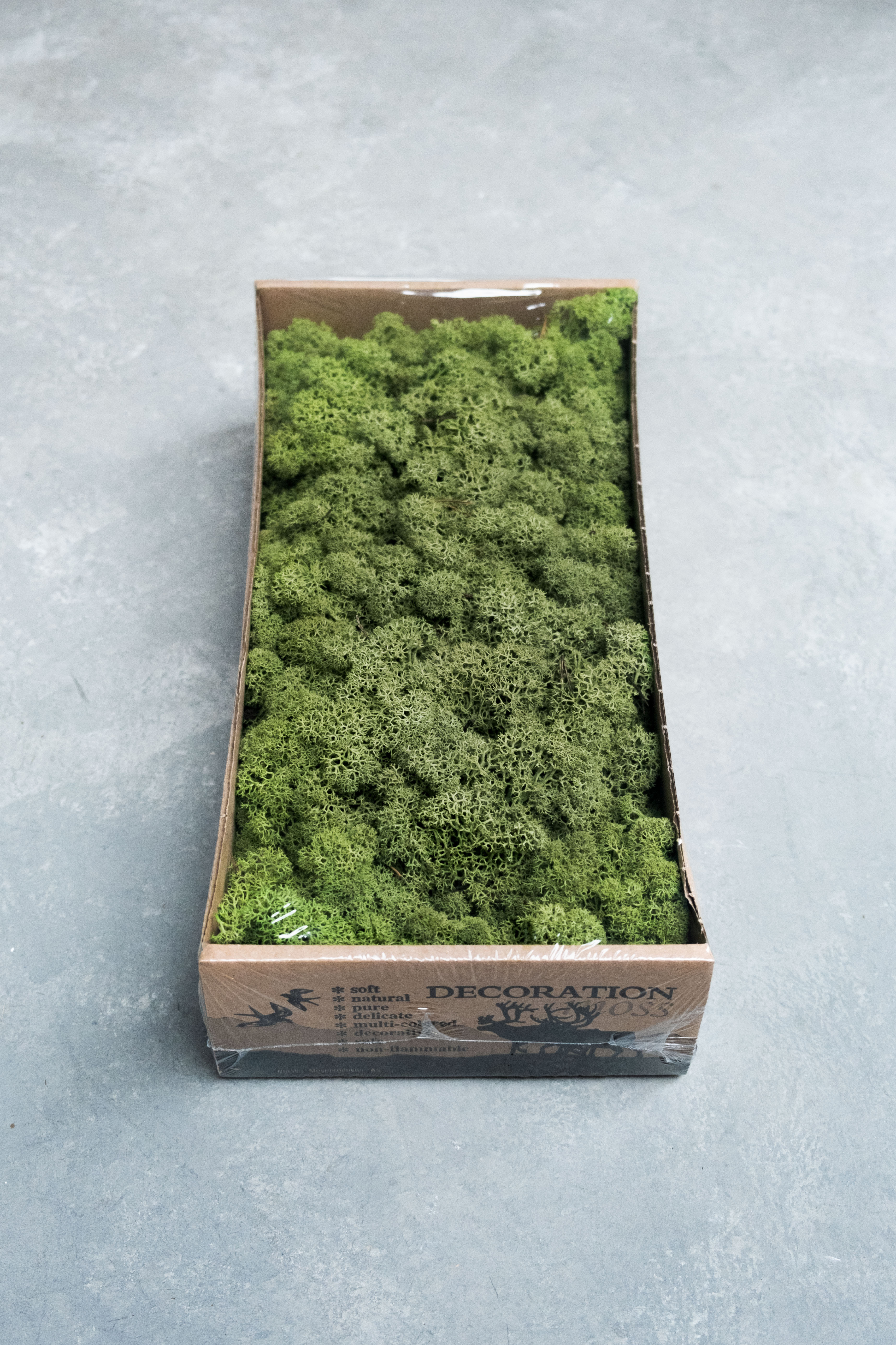 Reindeer moss 500gr middle green