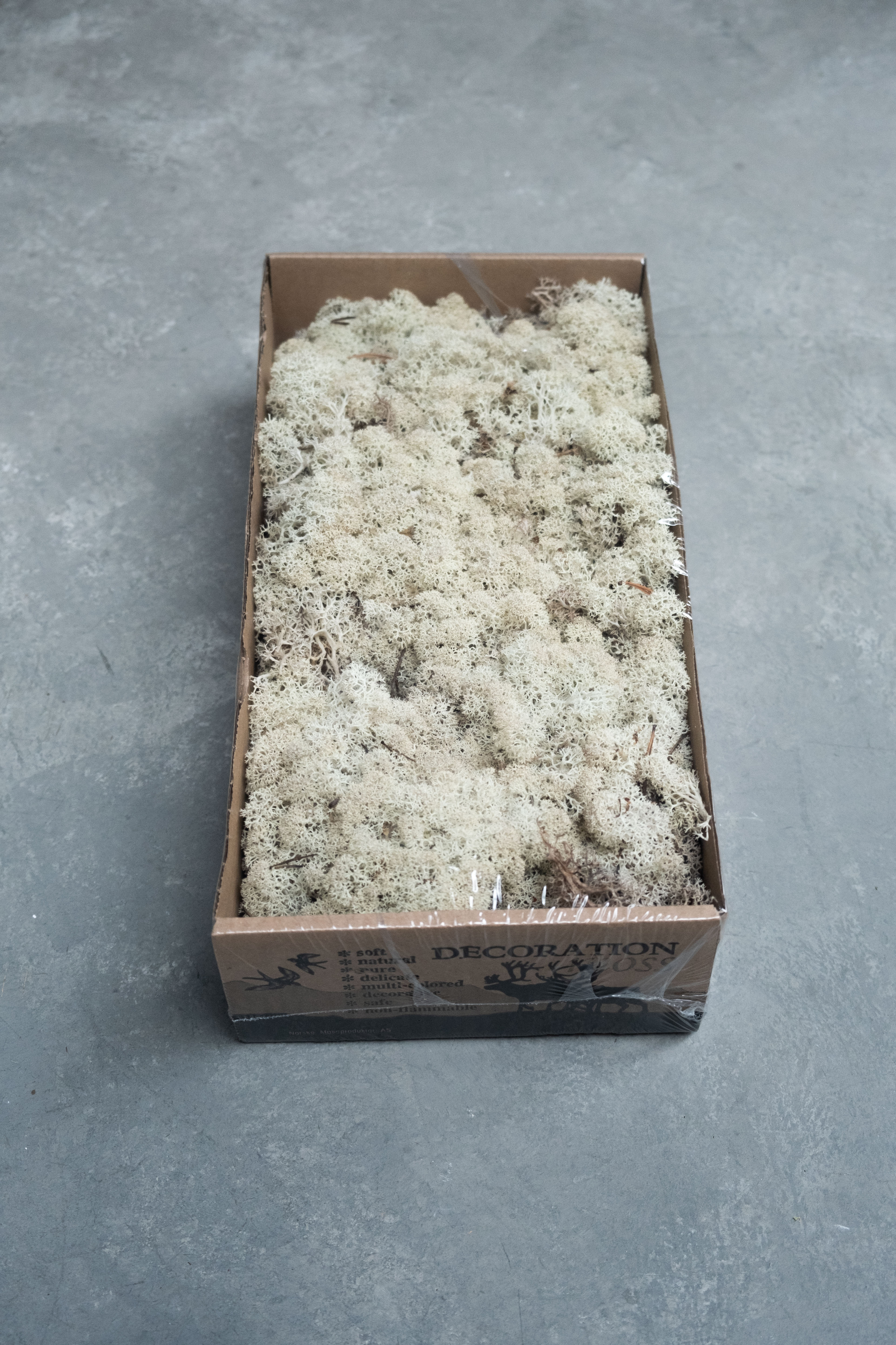 Reindeer moss 500gr natural