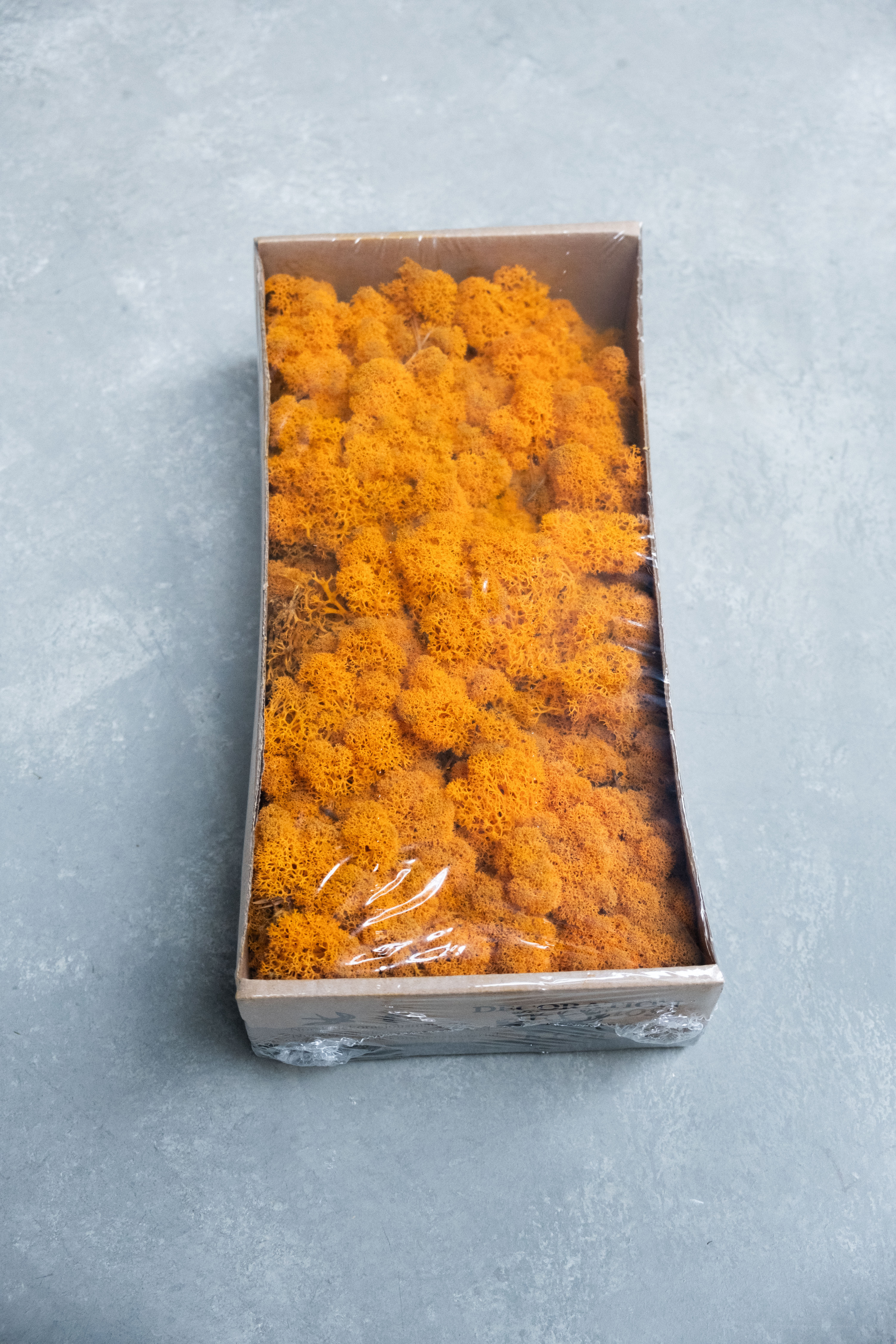 Reindeer moss 500gr orange