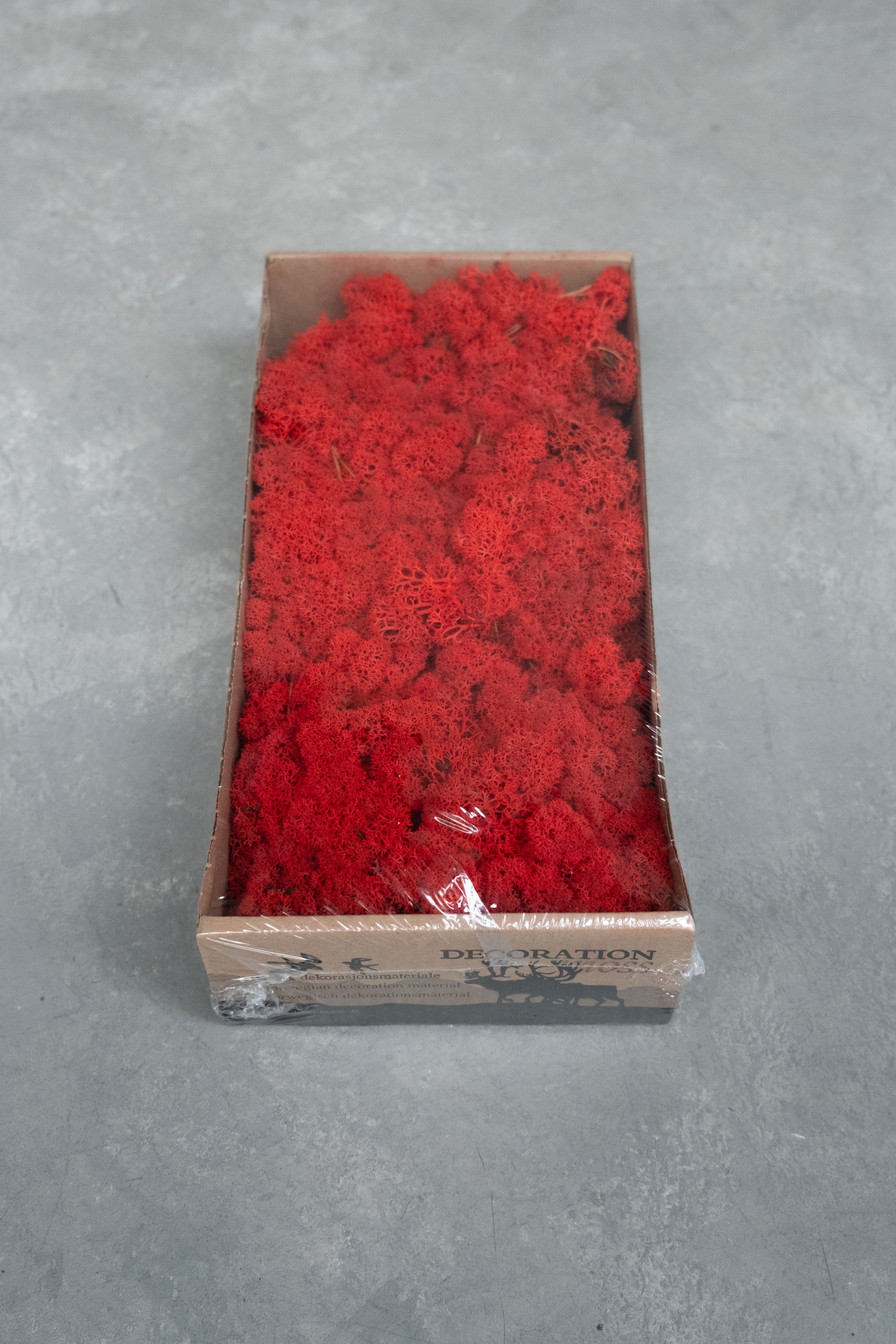 Reindeer moss 500gr red