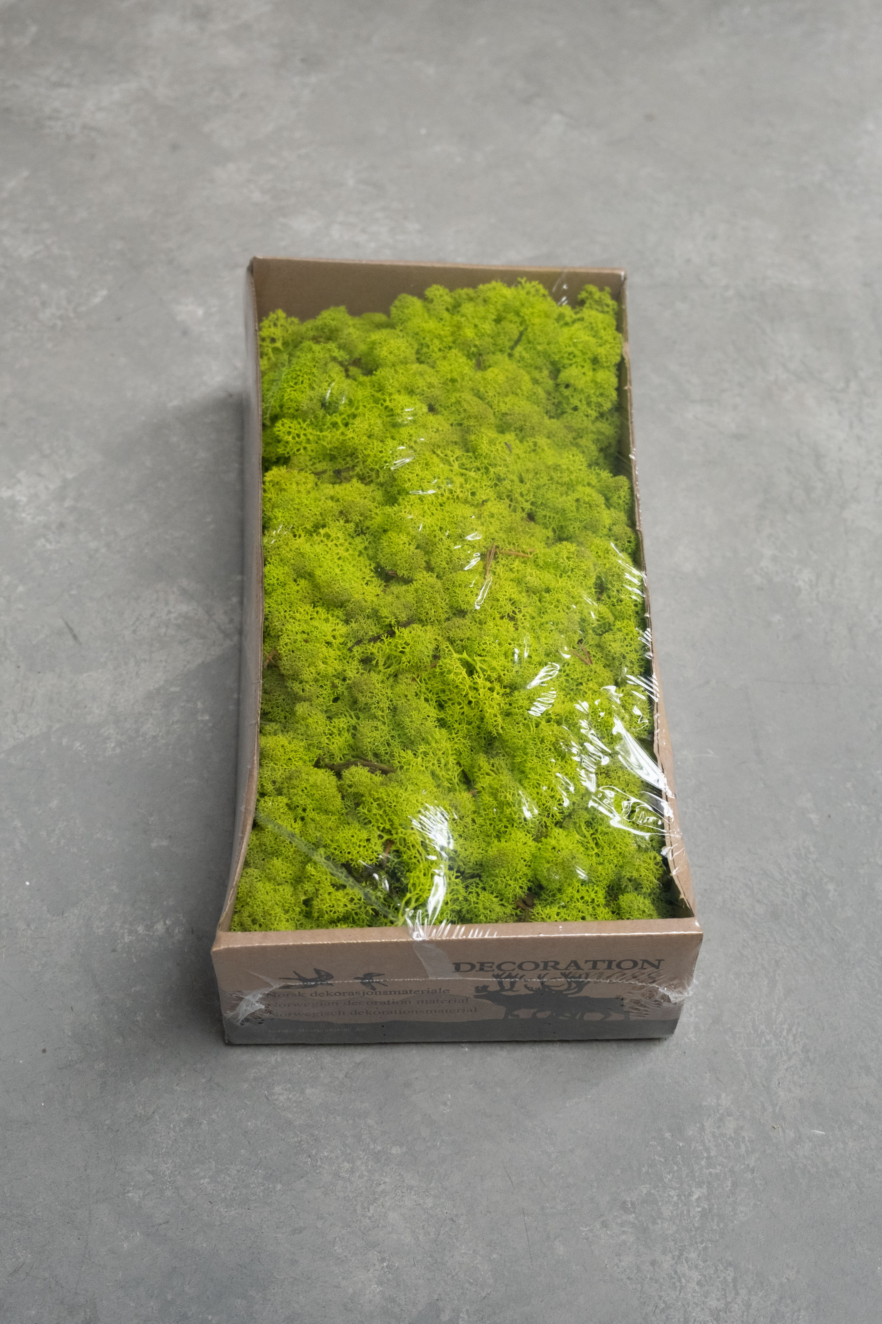 Reindeer moss 500gr spring green