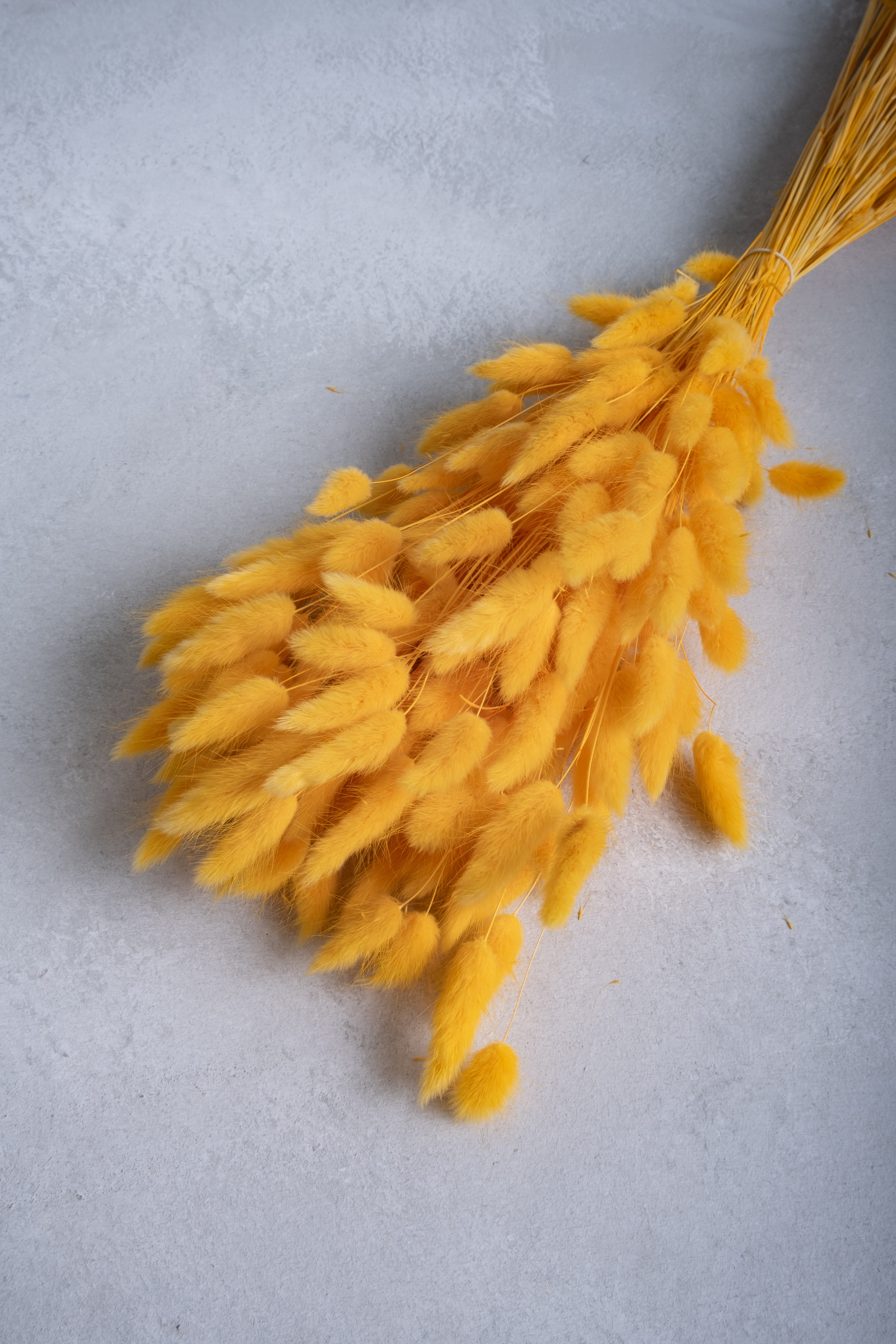 Dark yellow