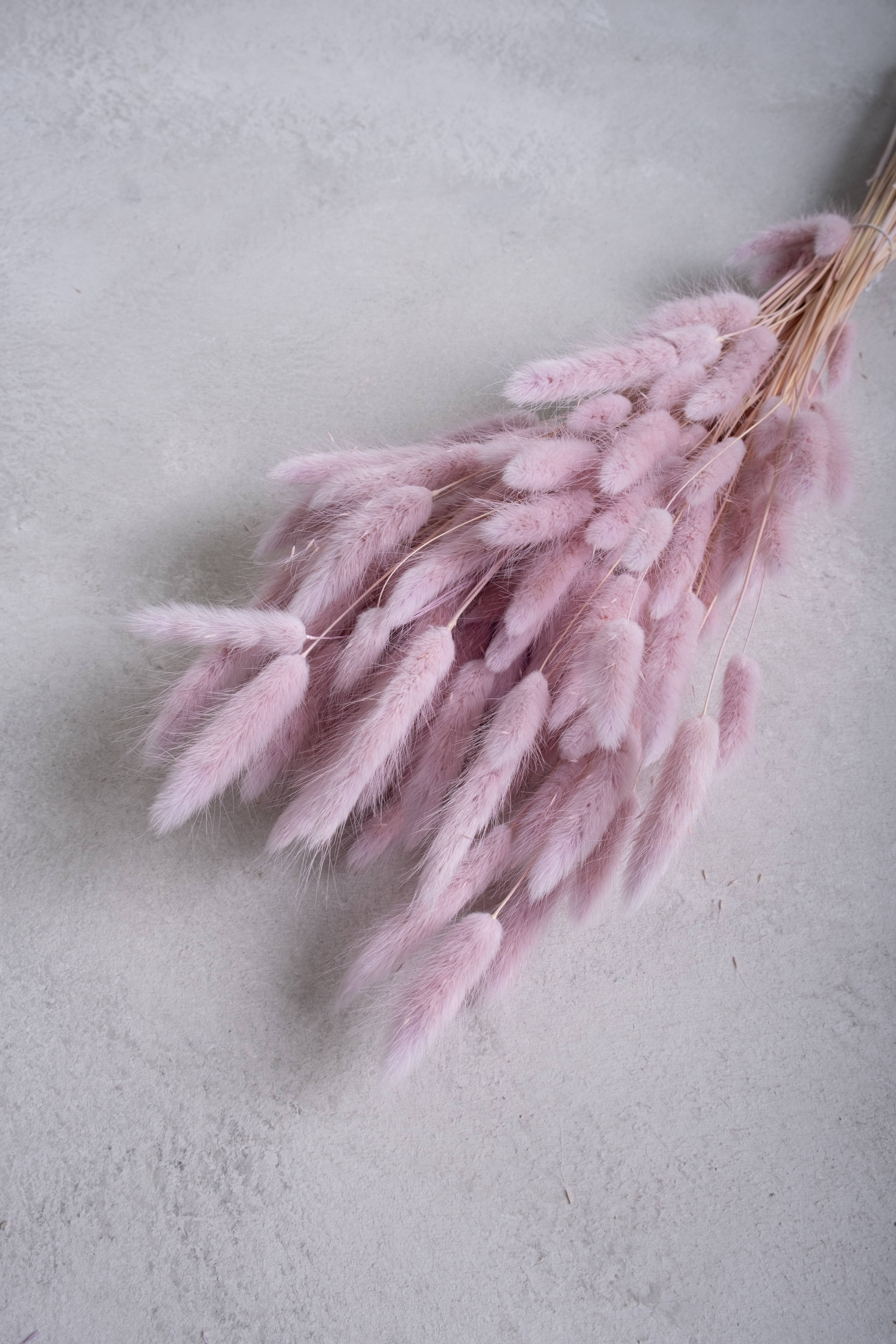 Powder pink
