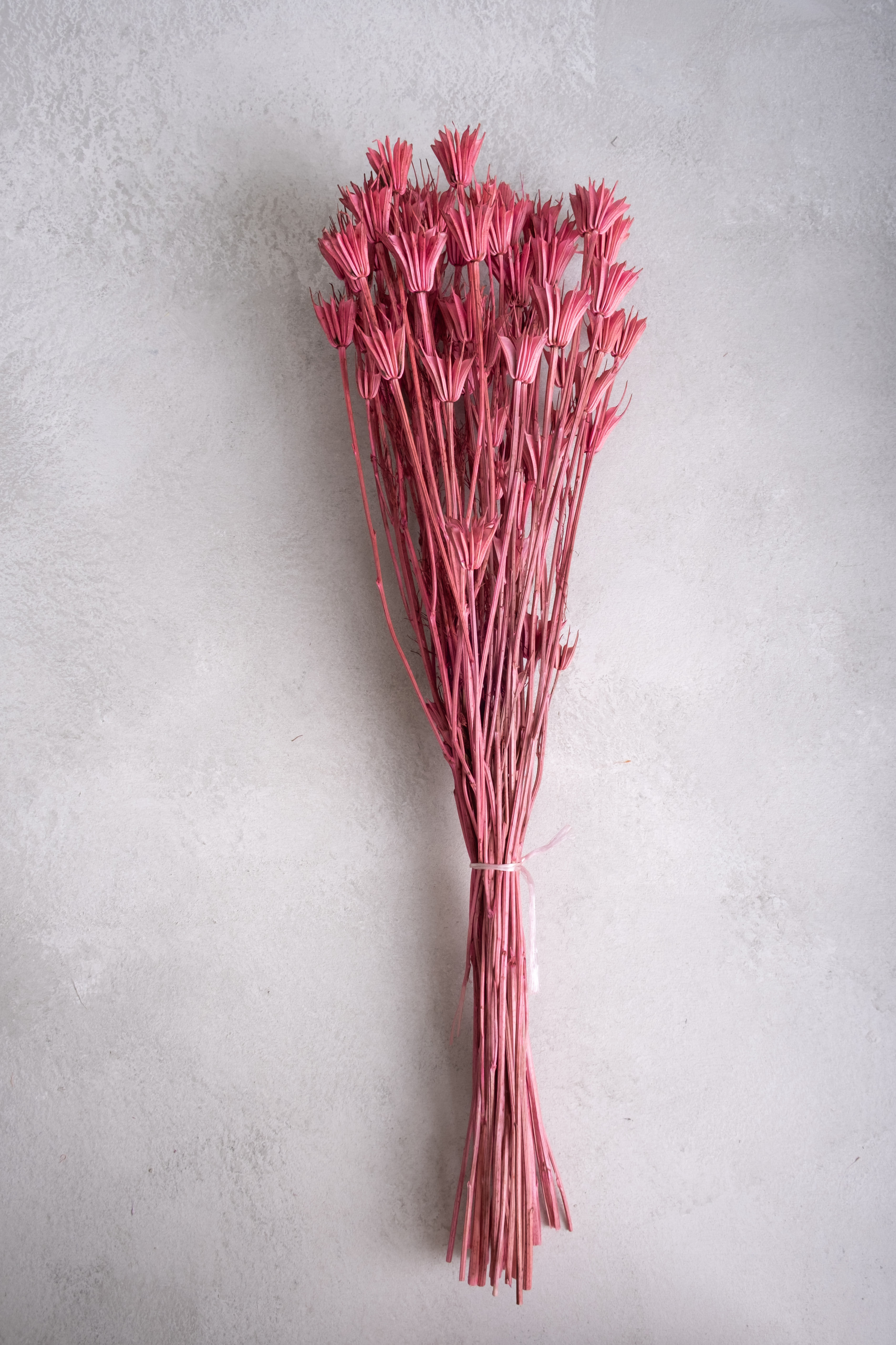 Old pink