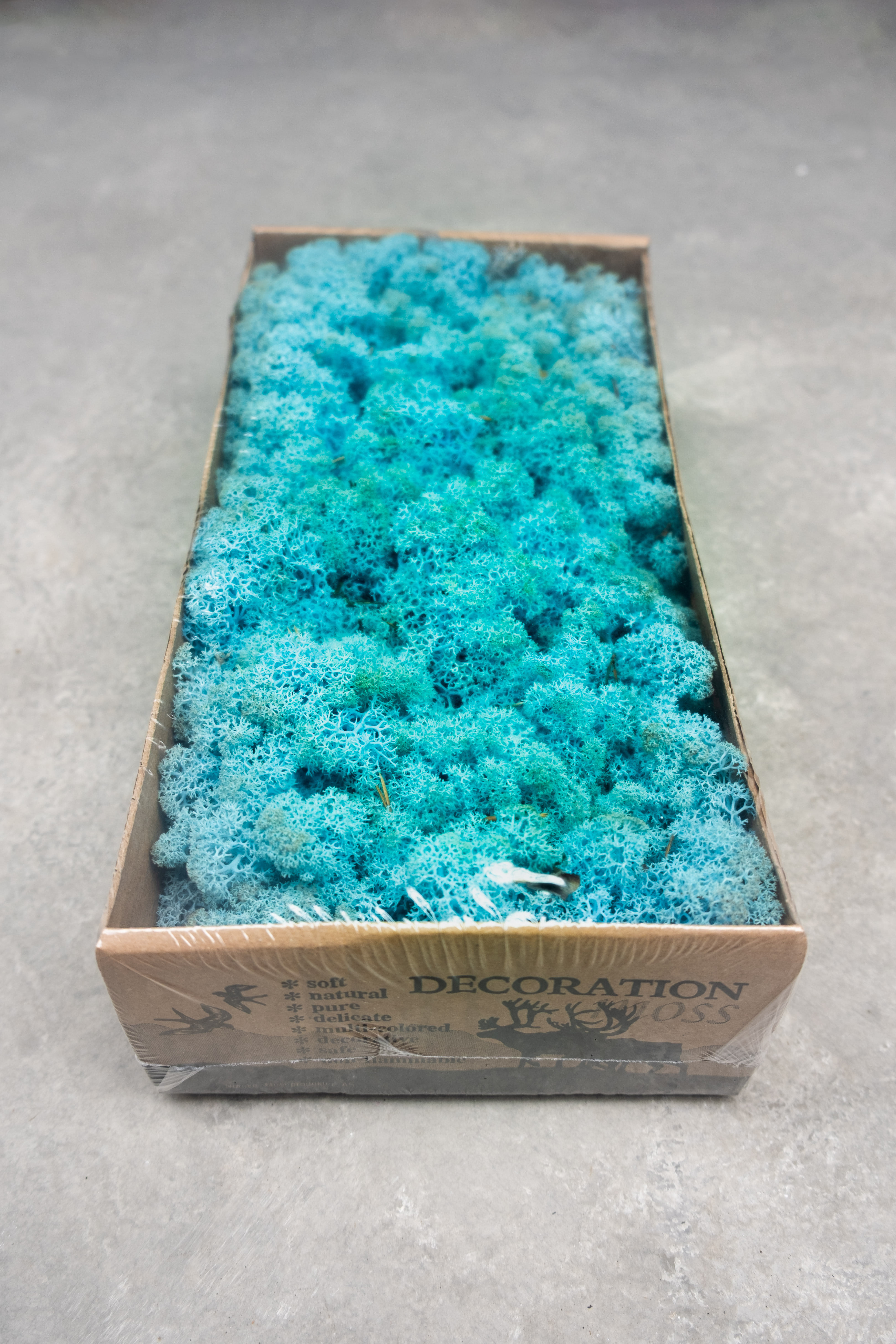 Reindeer moss 500gr aquamarijn