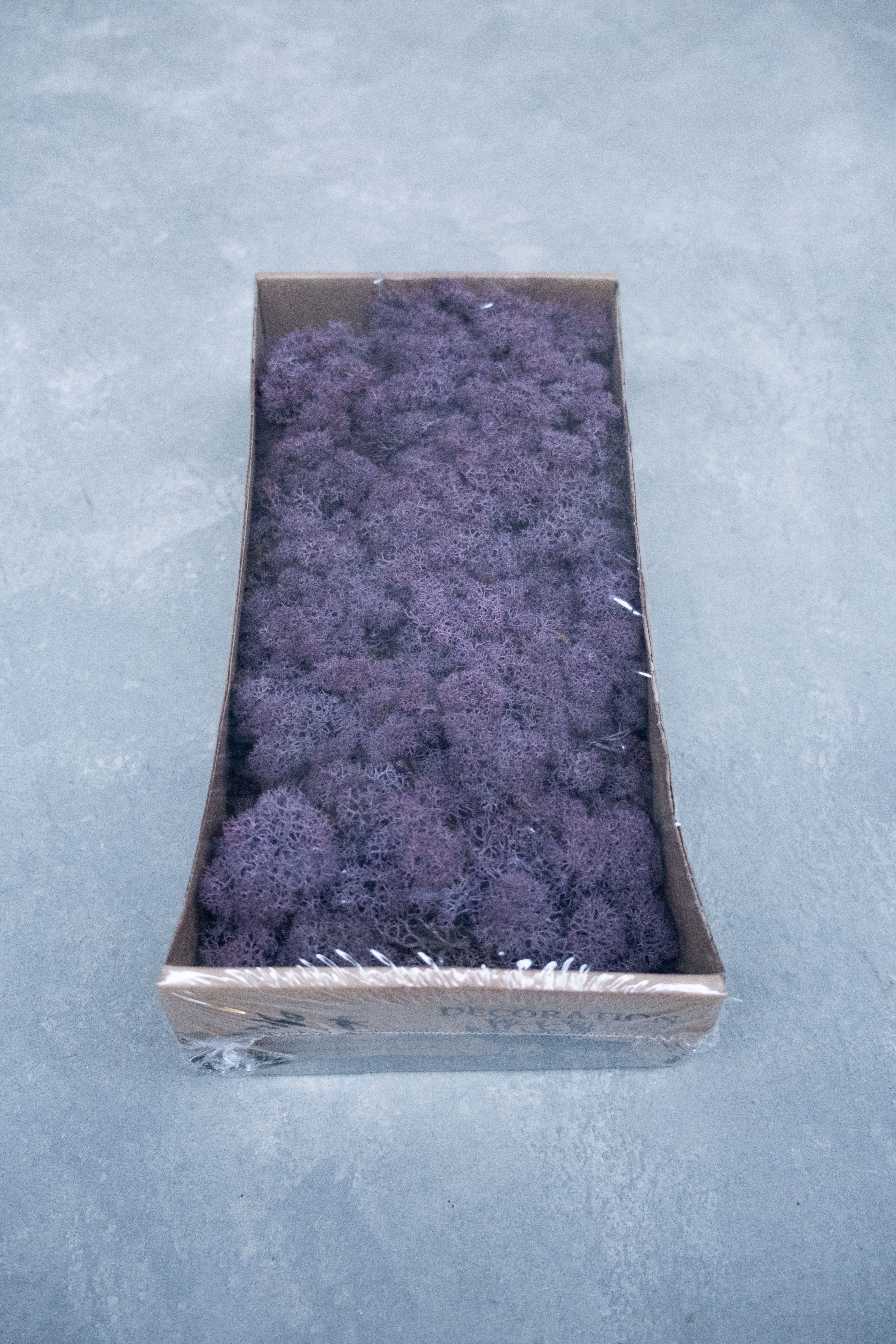 Reindeer moss 500gr aubergine