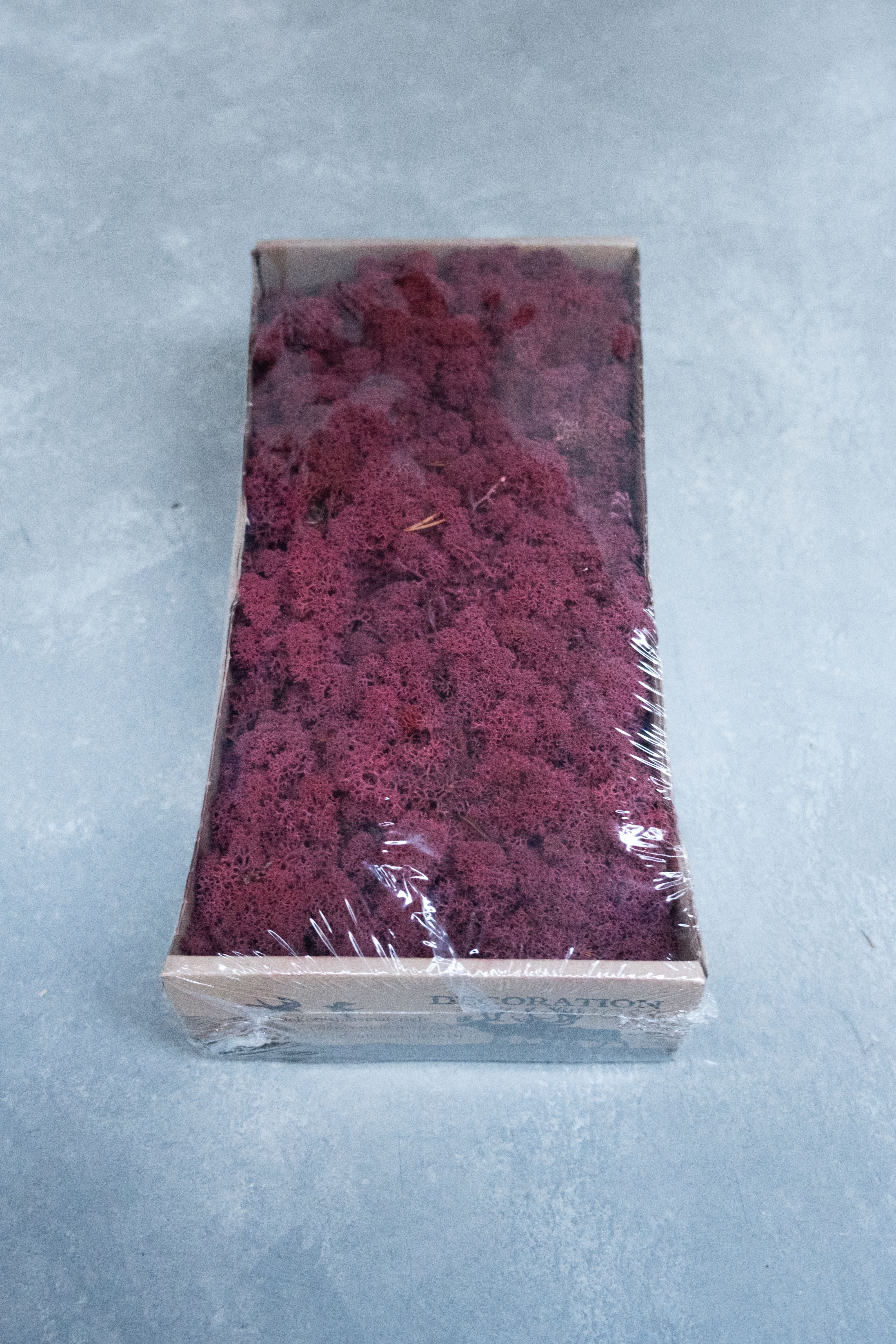 Reindeer moss 500gr bordeaux
