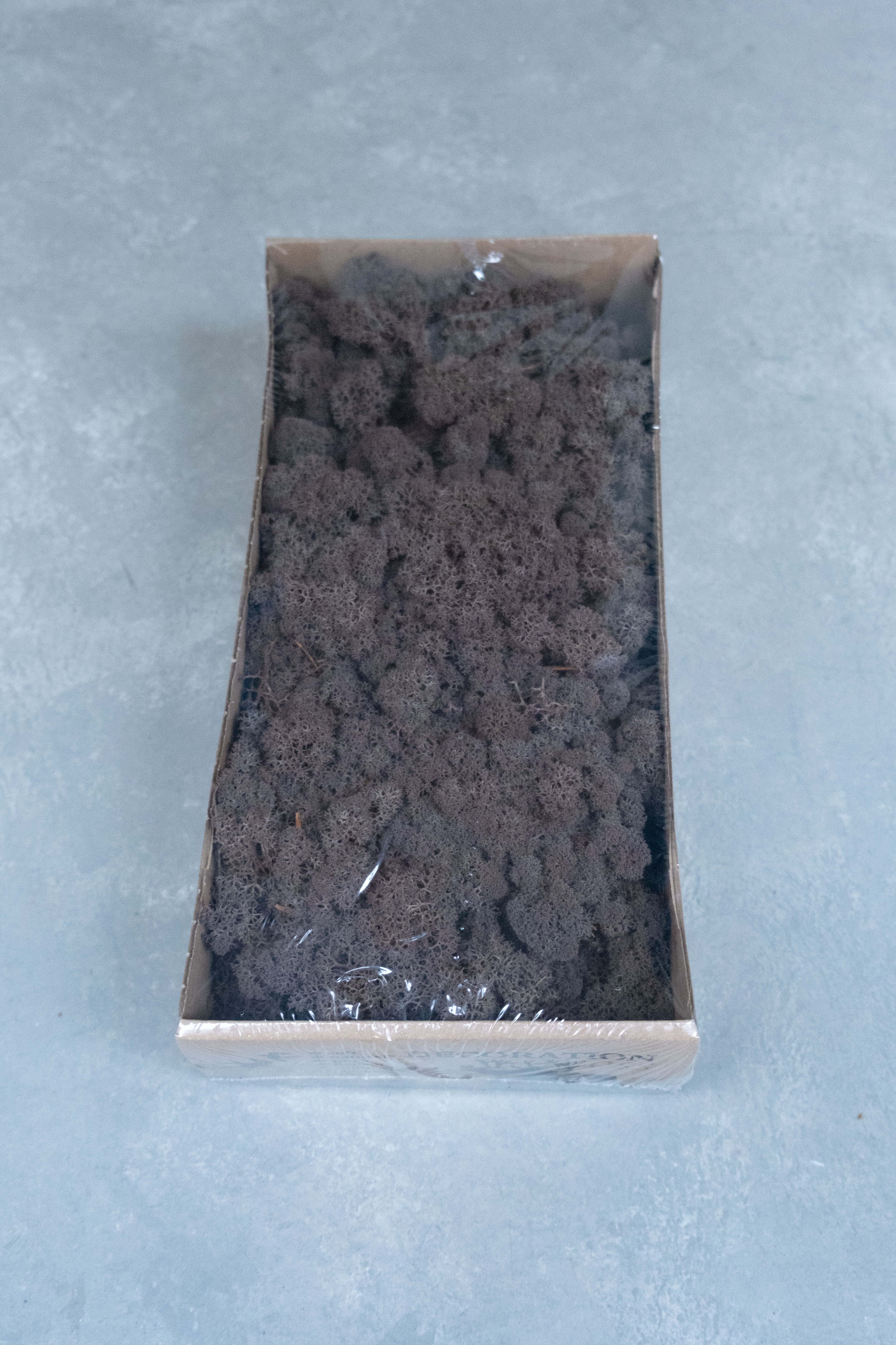 Reindeer moss 500gr brown