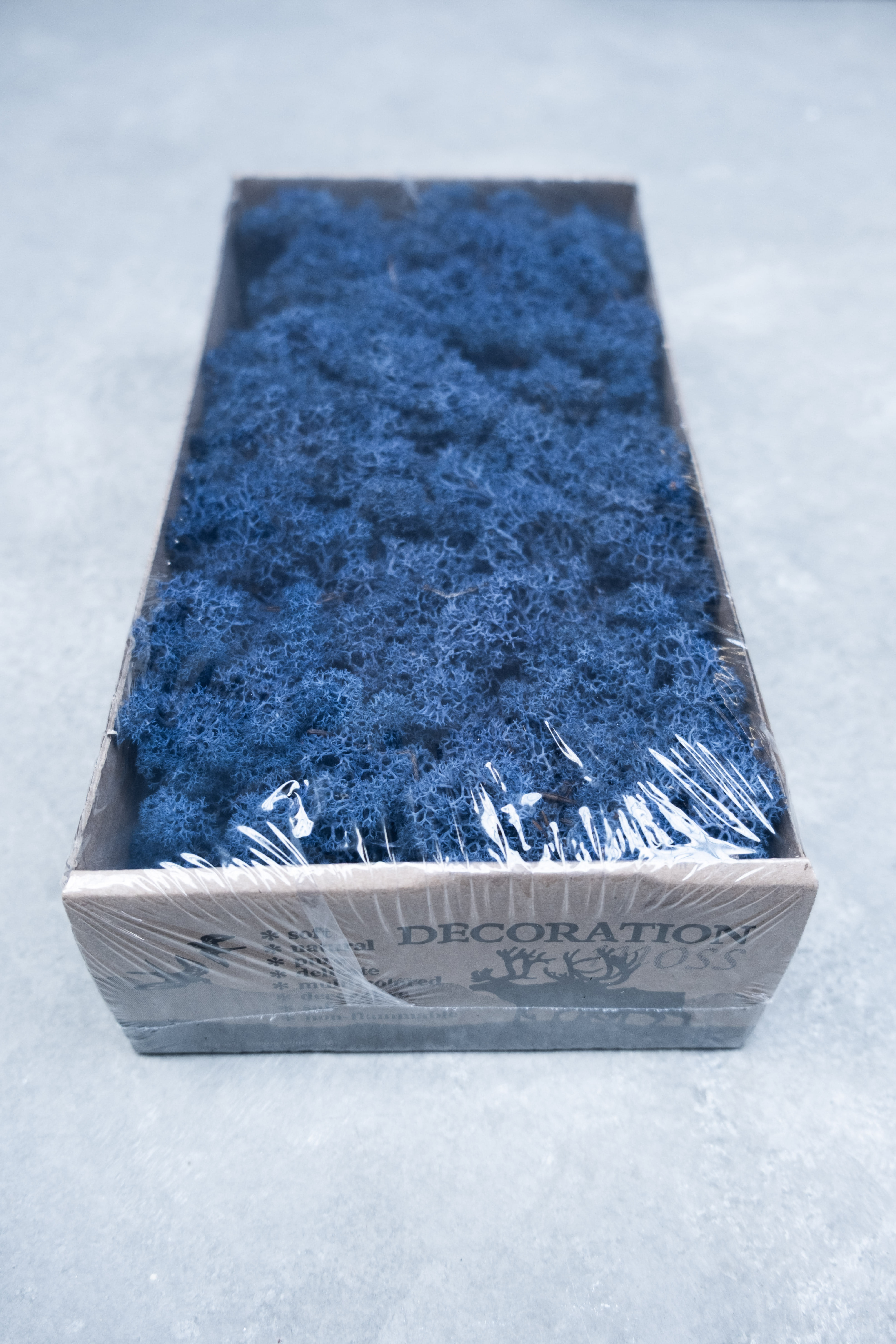 Reindeer moss 500gr dark blue