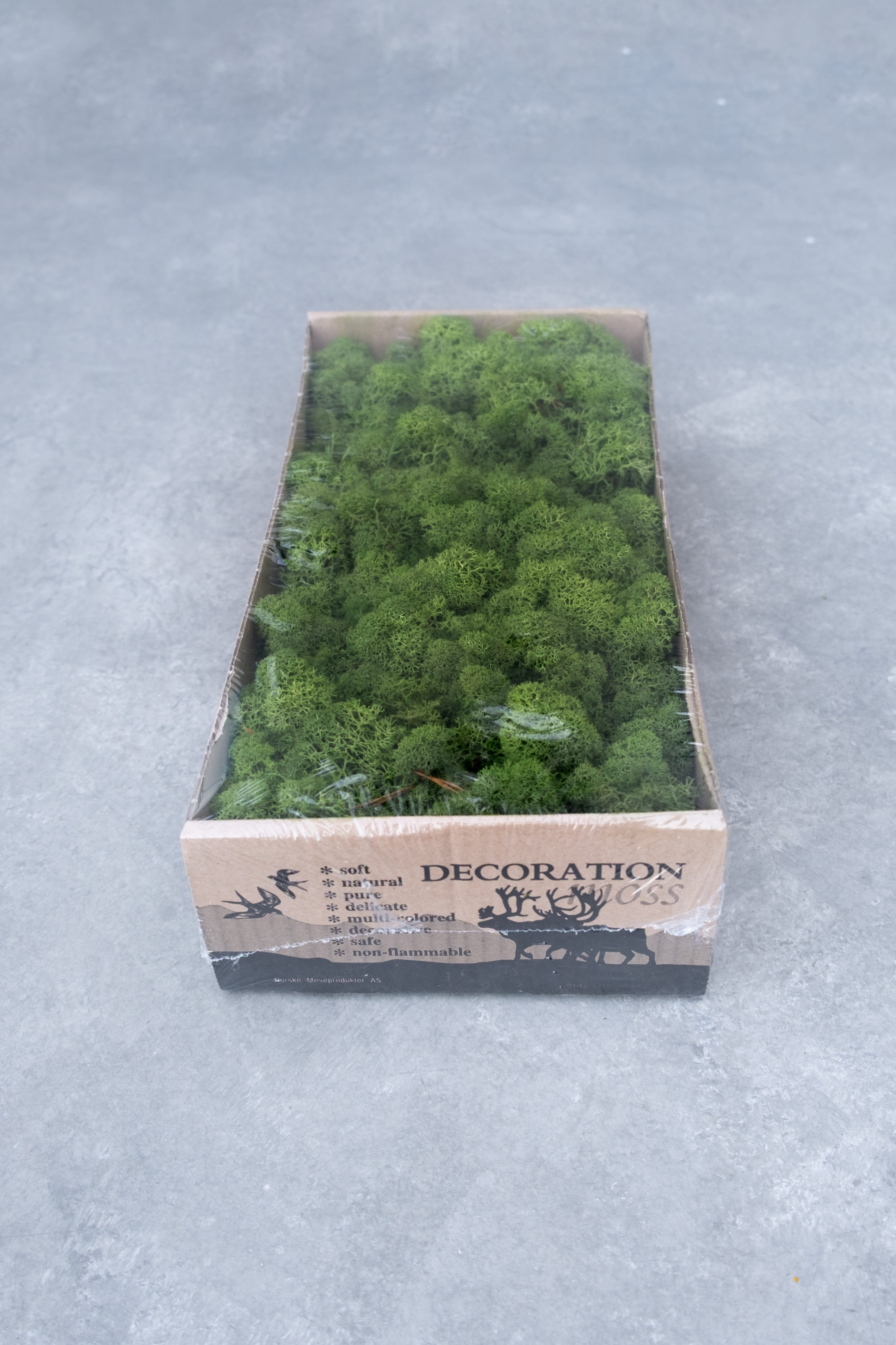 Reindeer moss 500gr forestgreen
