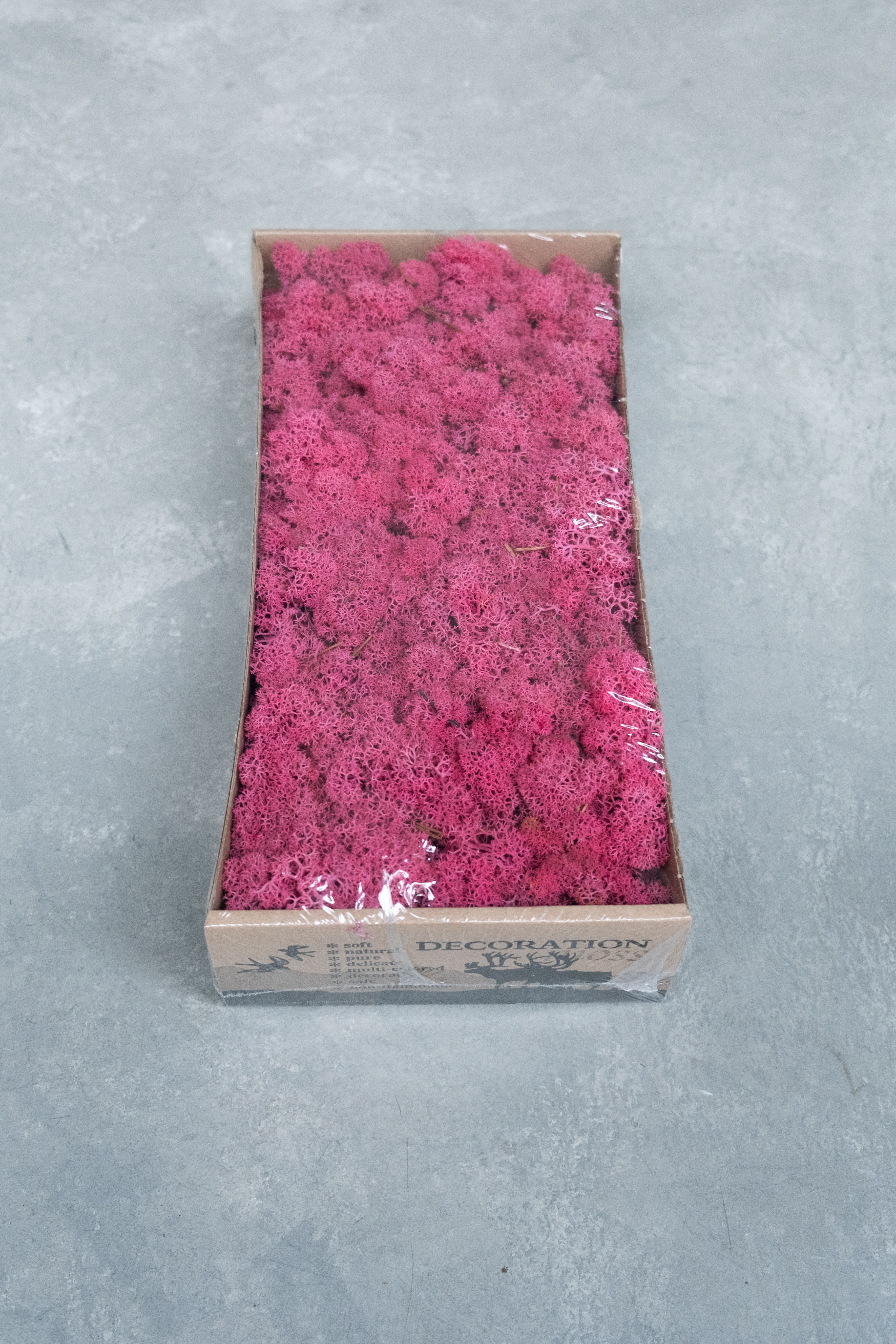 Reindeer moss 500gr fuchsia