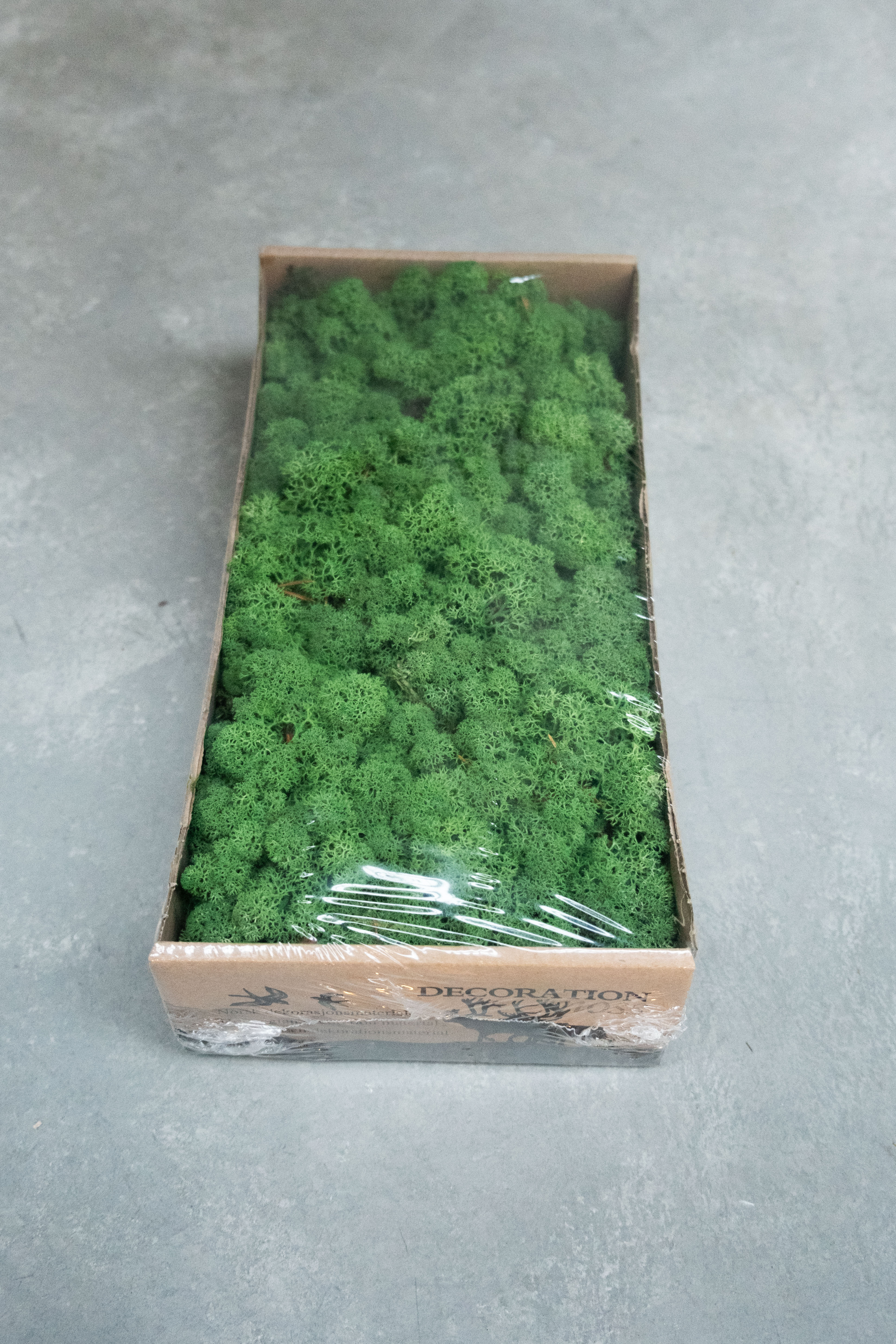 Reindeer moss 500gr grass green