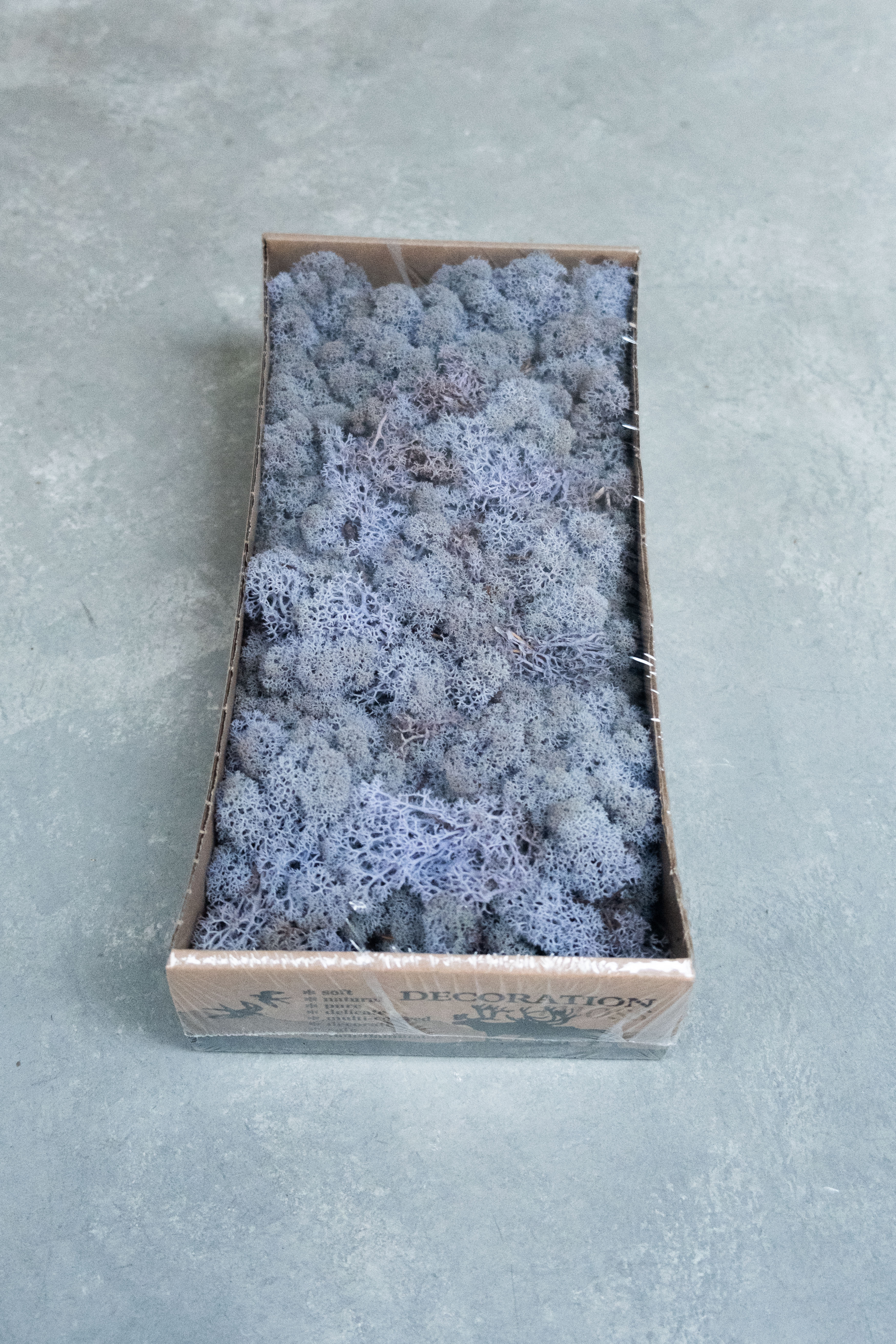 Reindeer moss 500gr lavender