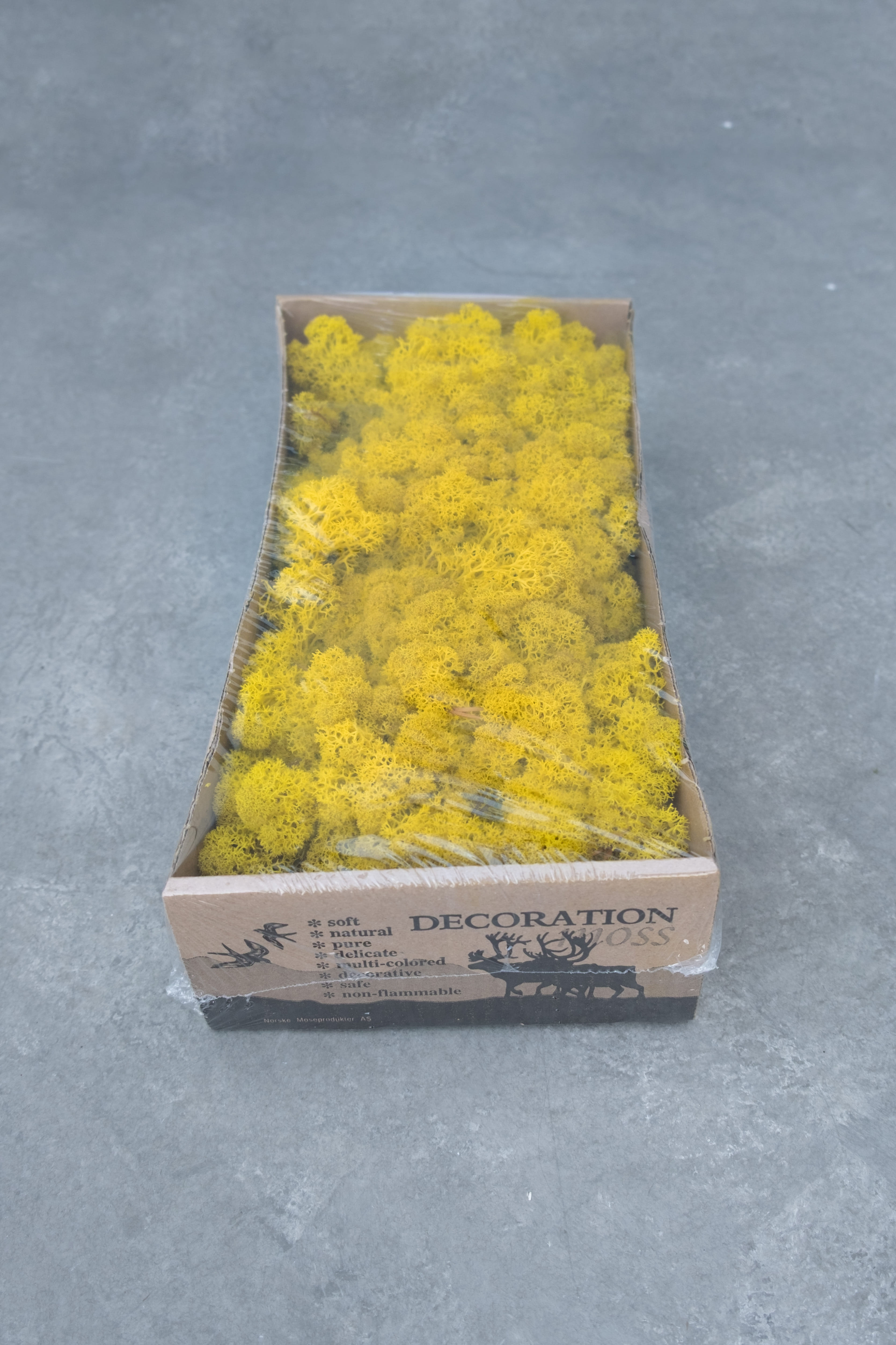 Reindeer moss 500gr lemon yellow