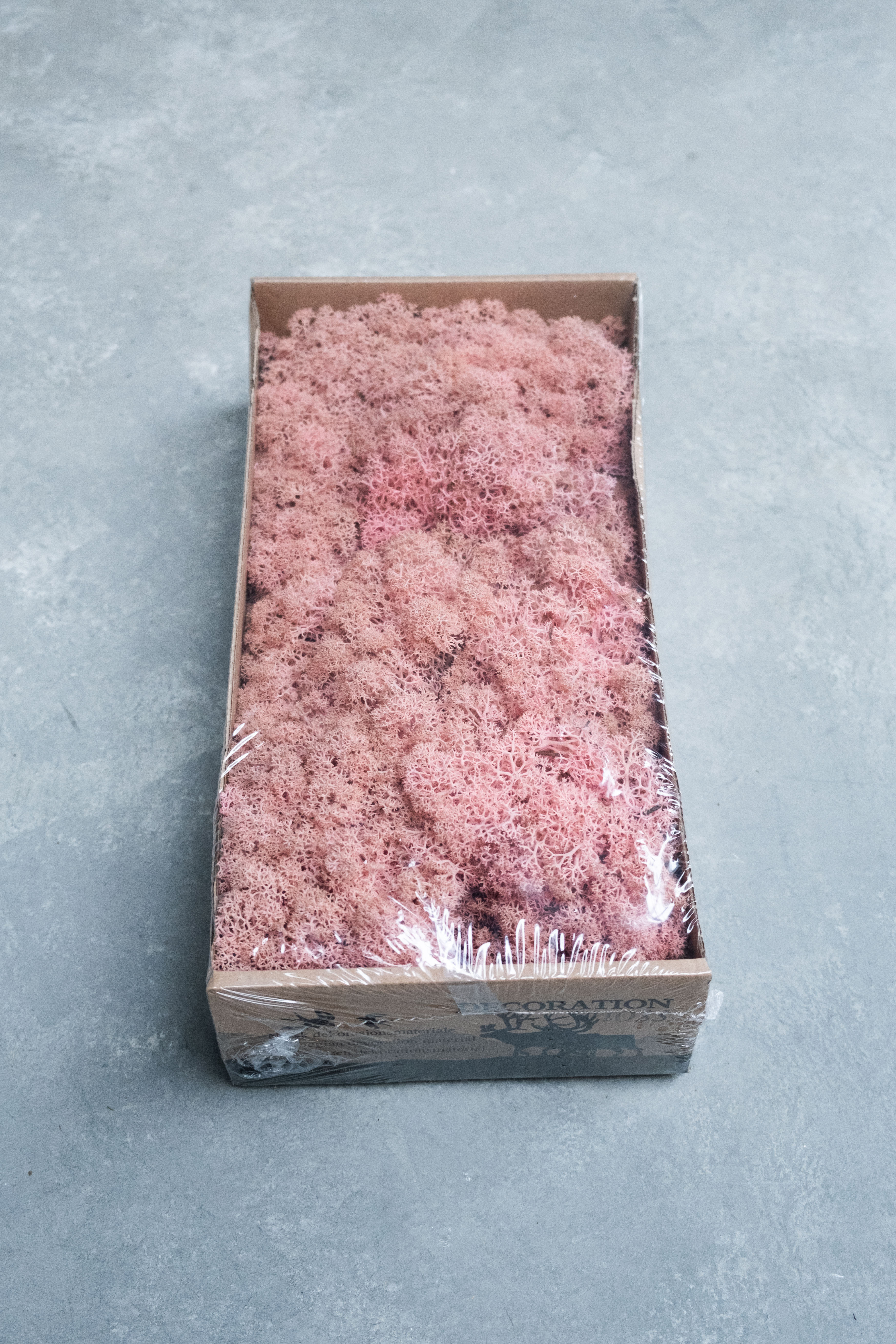 Reindeer moss 500gr light pink