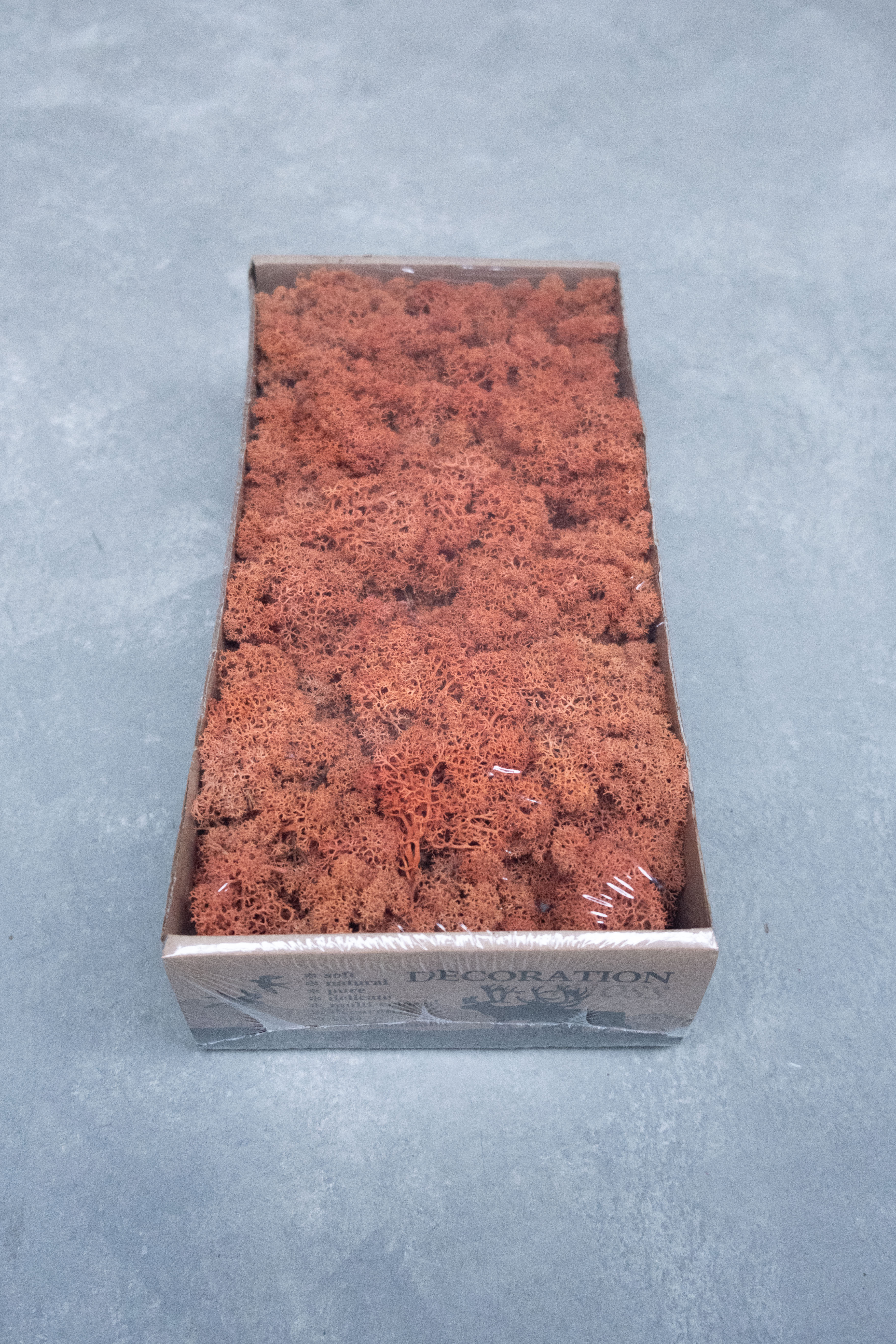 Reindeer moss 500gr mango
