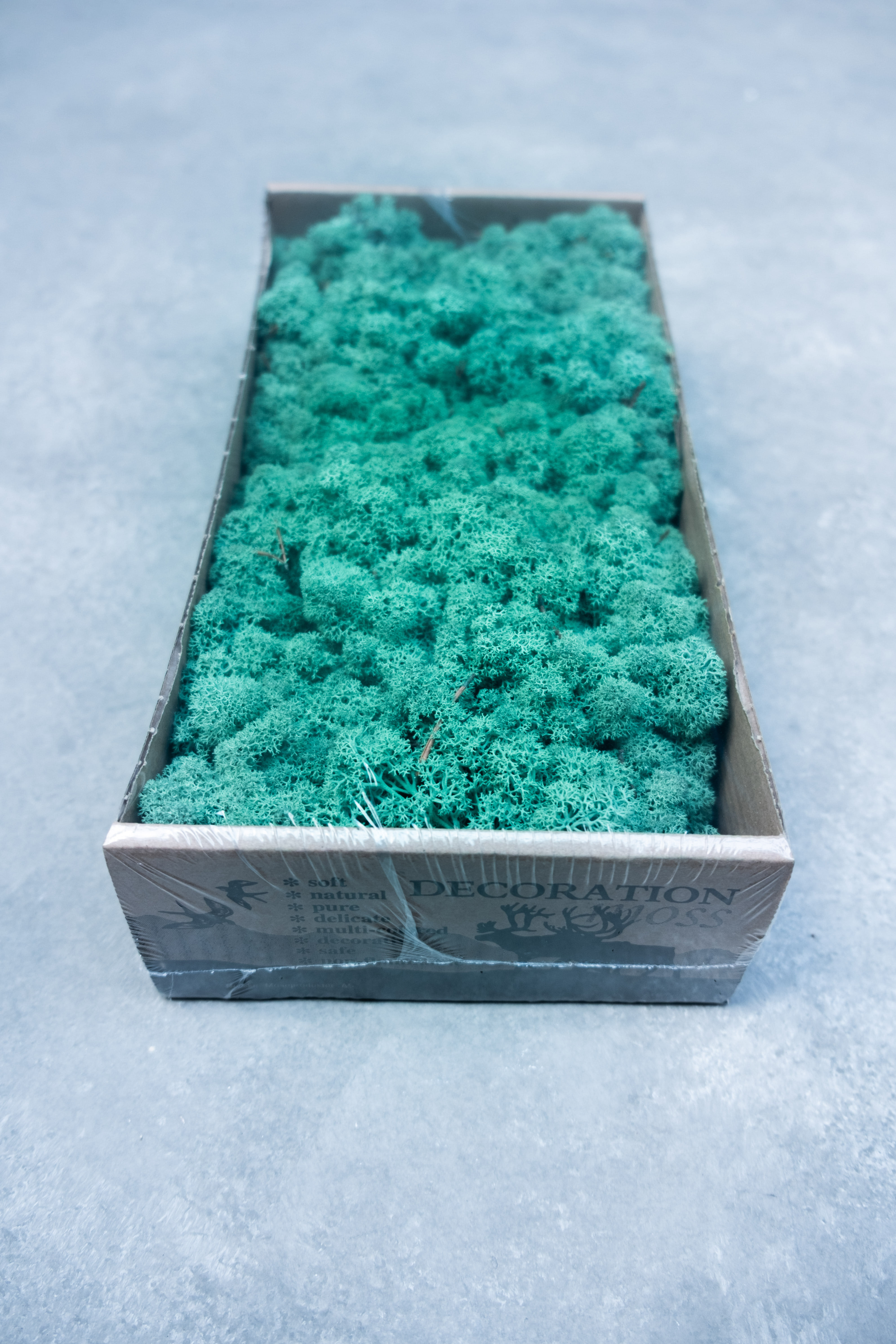 Reindeer moss 500gr pacific green