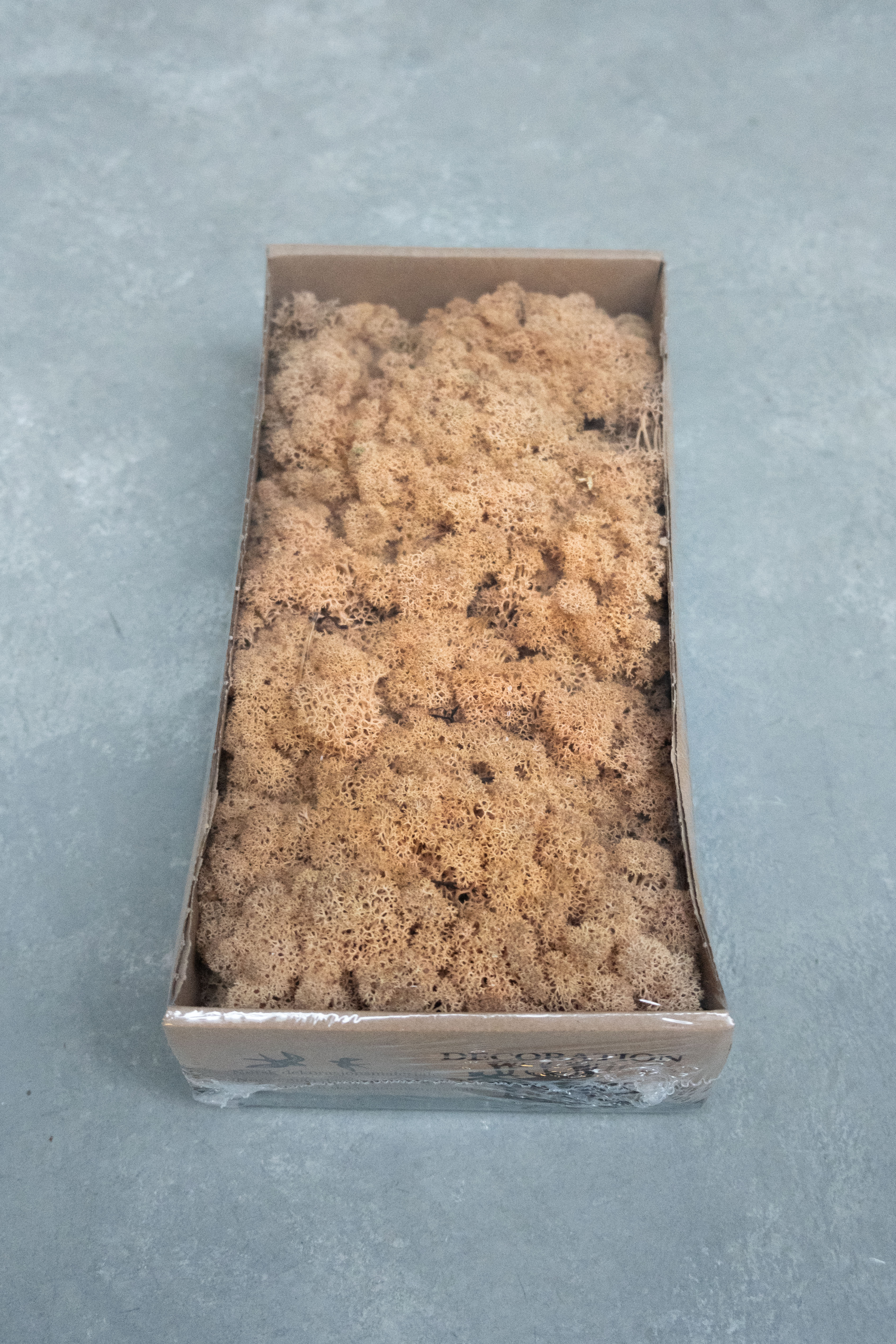 Reindeer moss 500gr peach