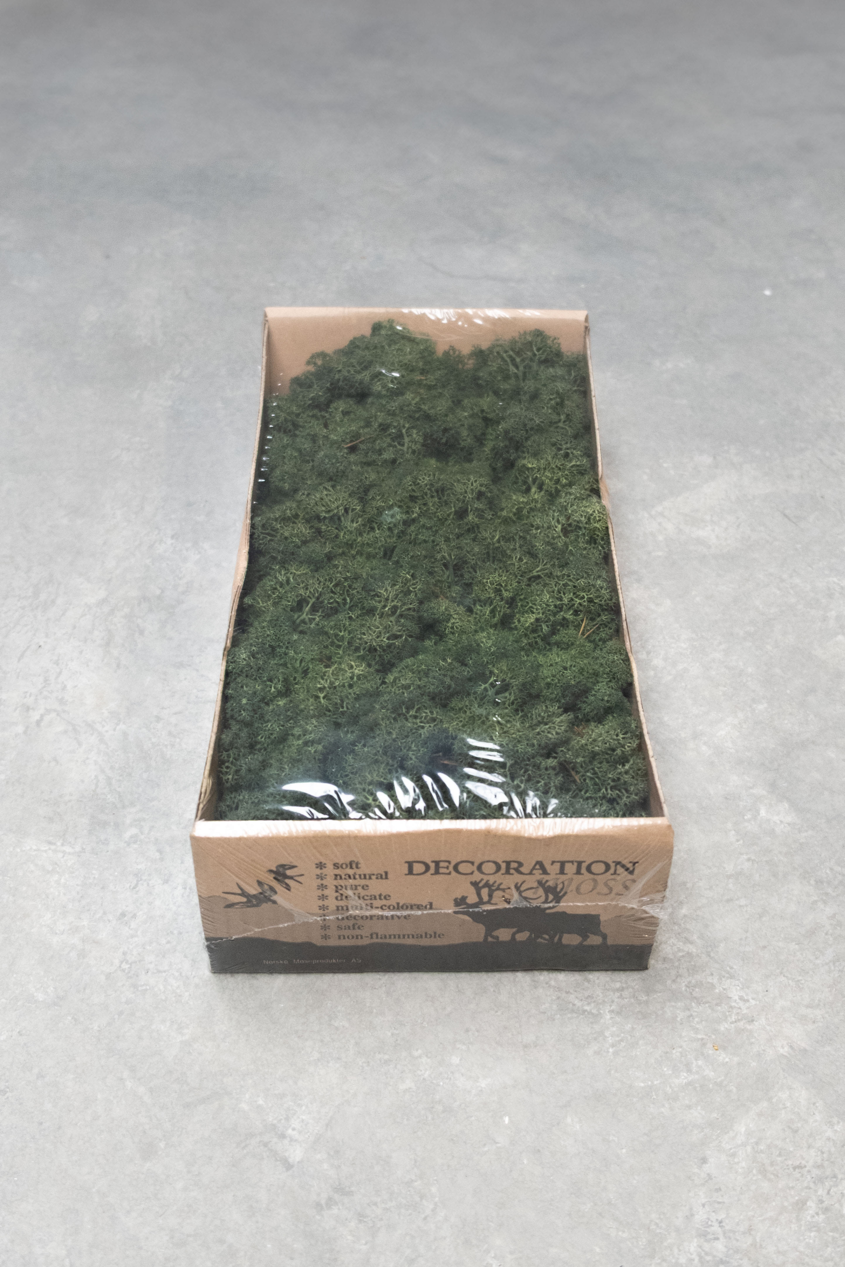 Reindeer moss 500gr pinegreen