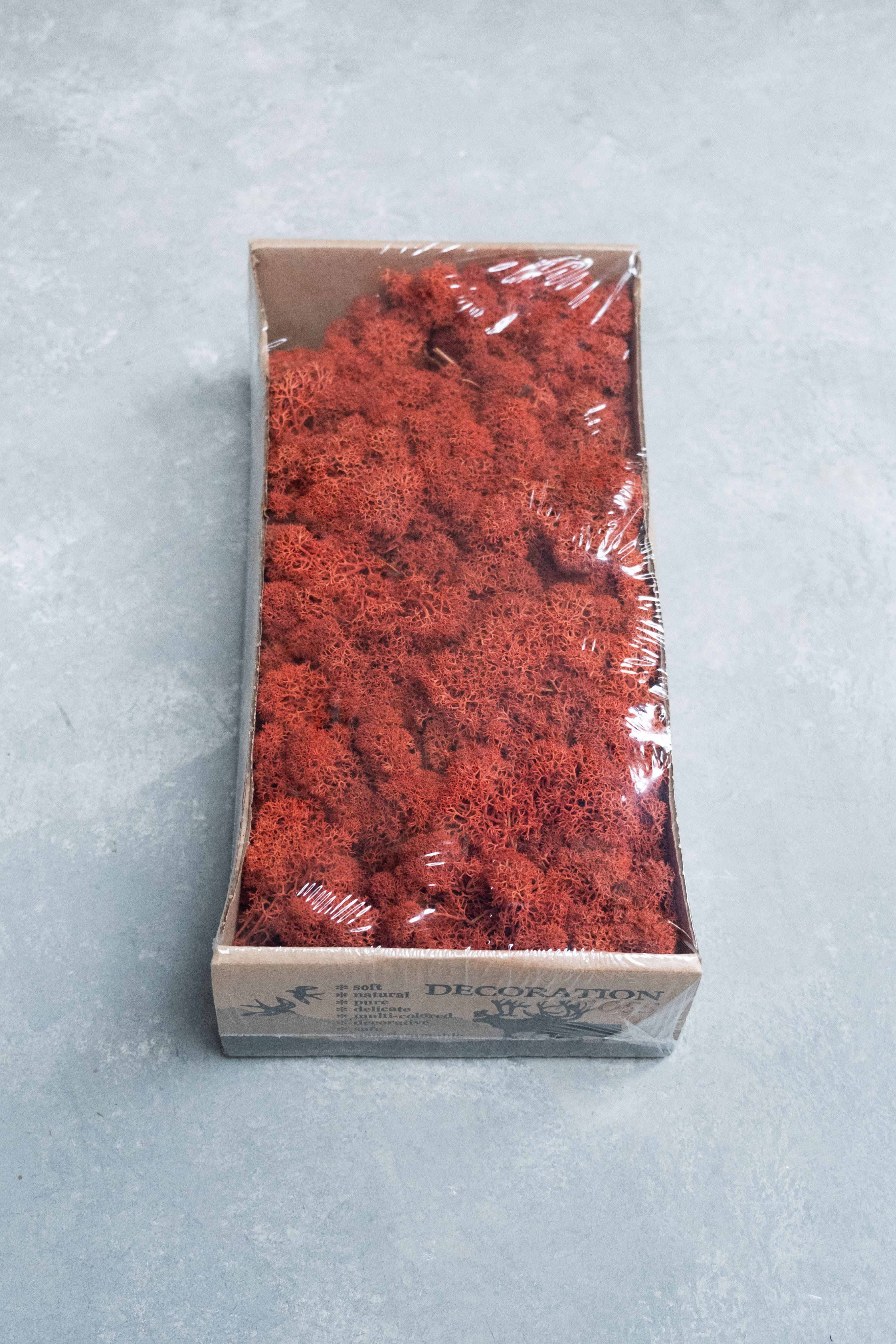 Reindeer moss 500gr sienna