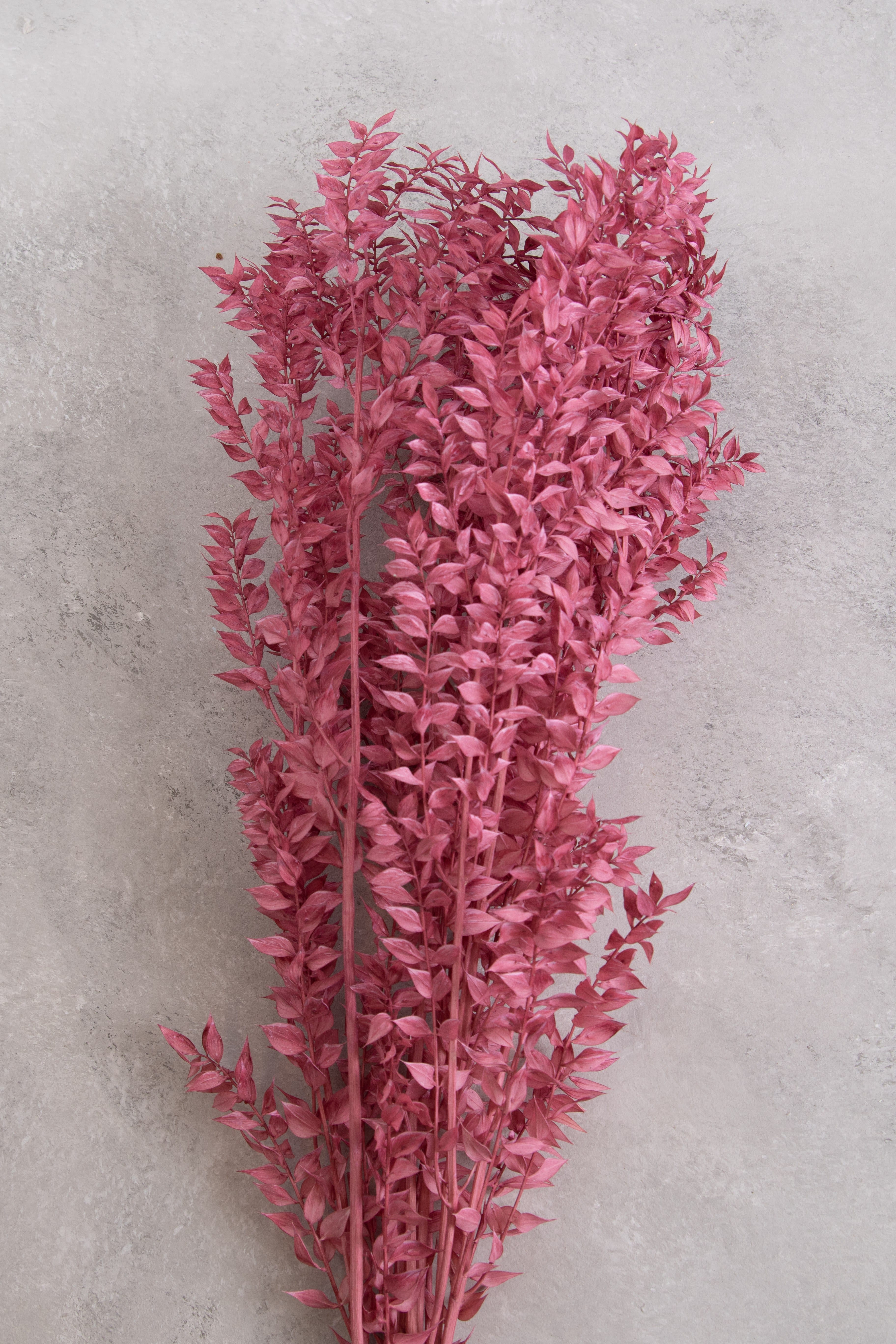 Old pink