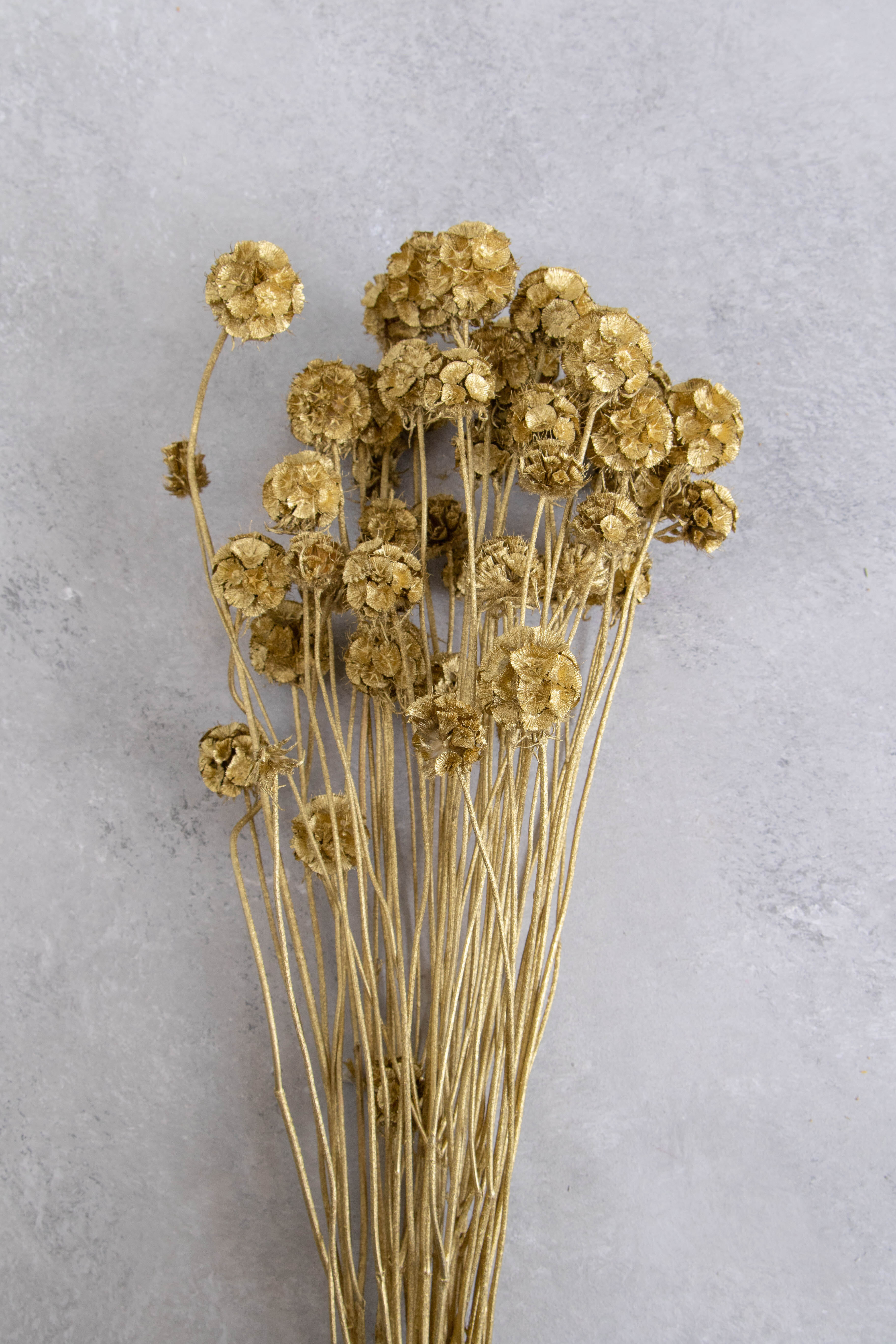 Gold