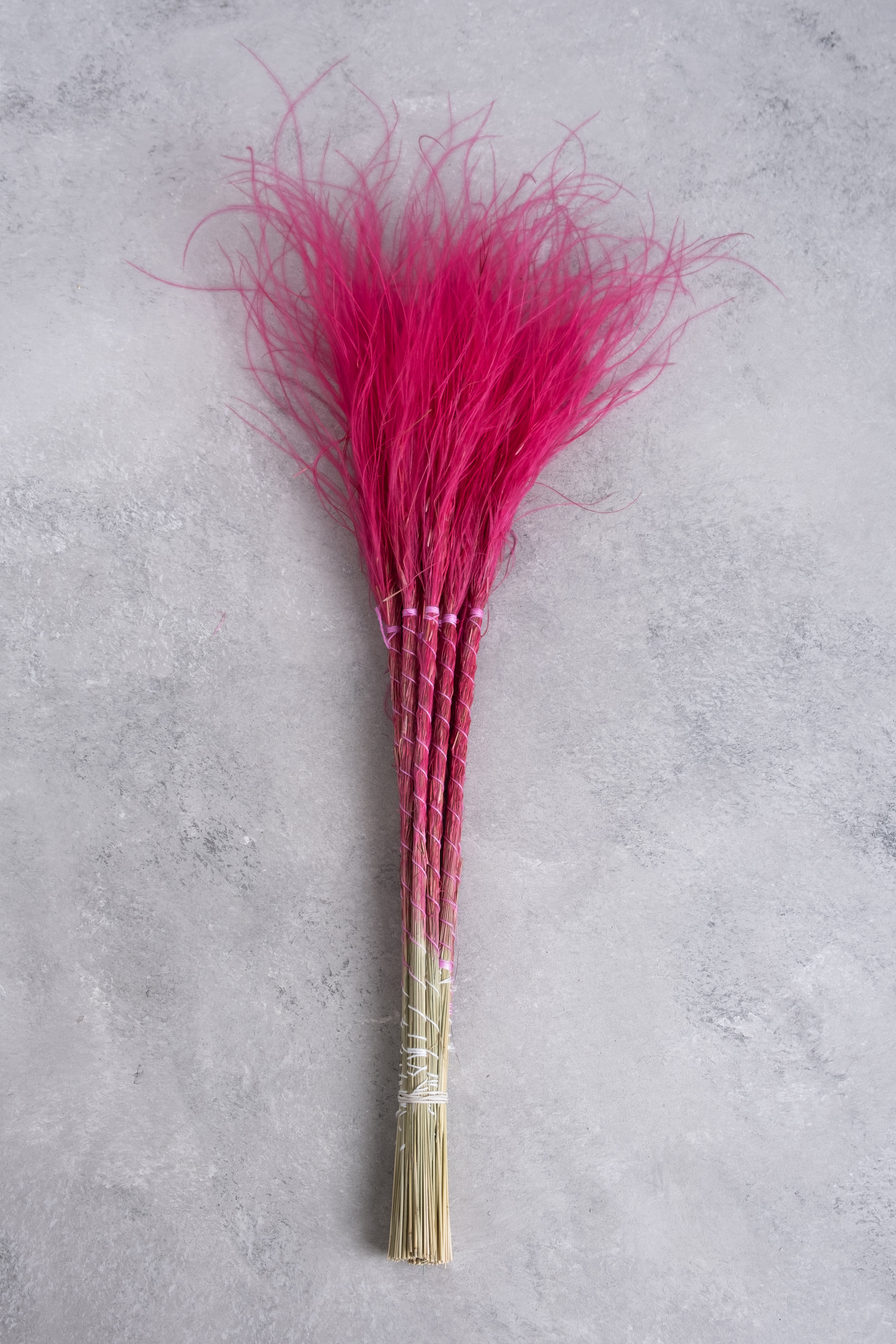 Cerise