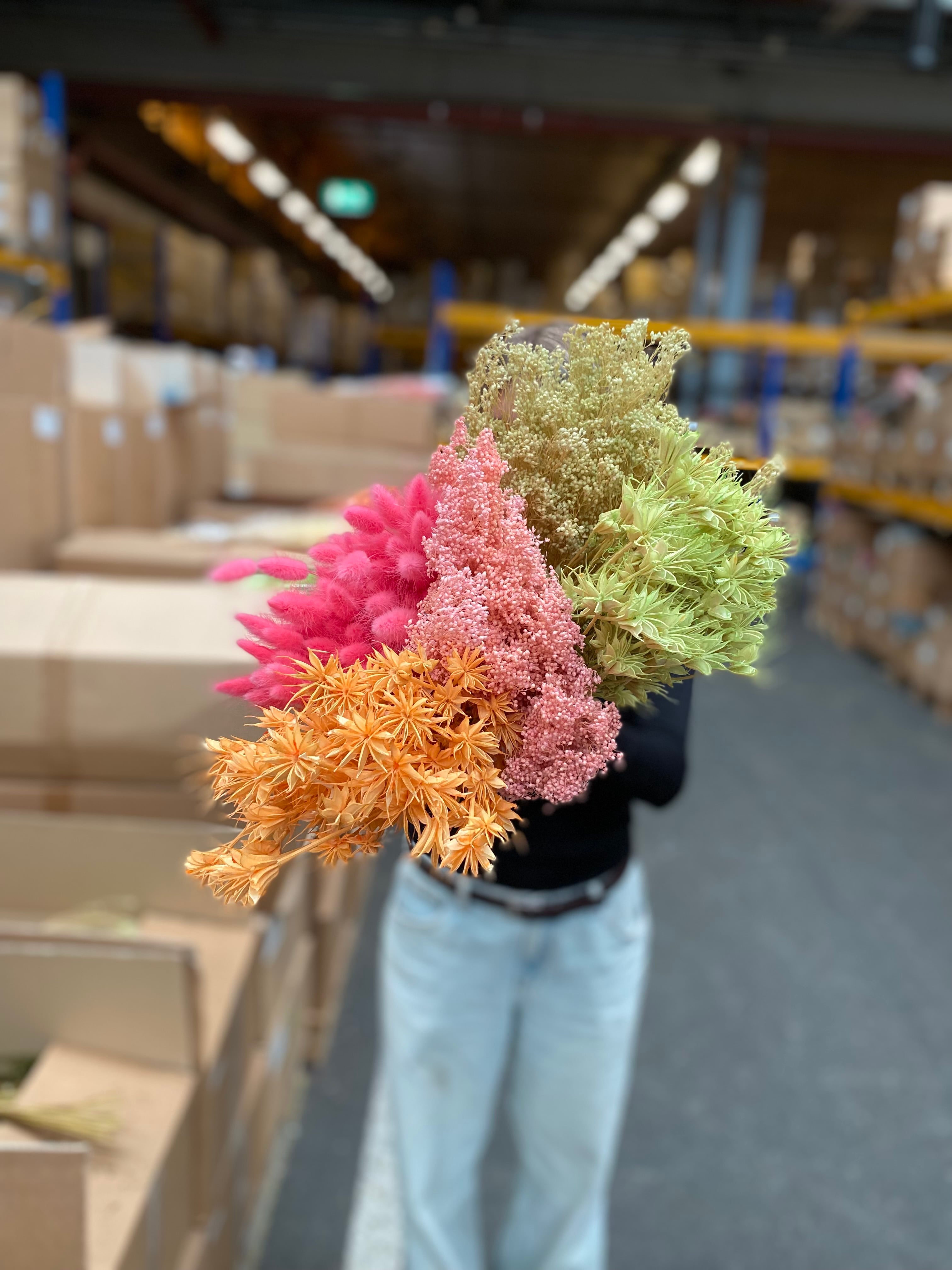 Placeholder for Website dried flowers 4