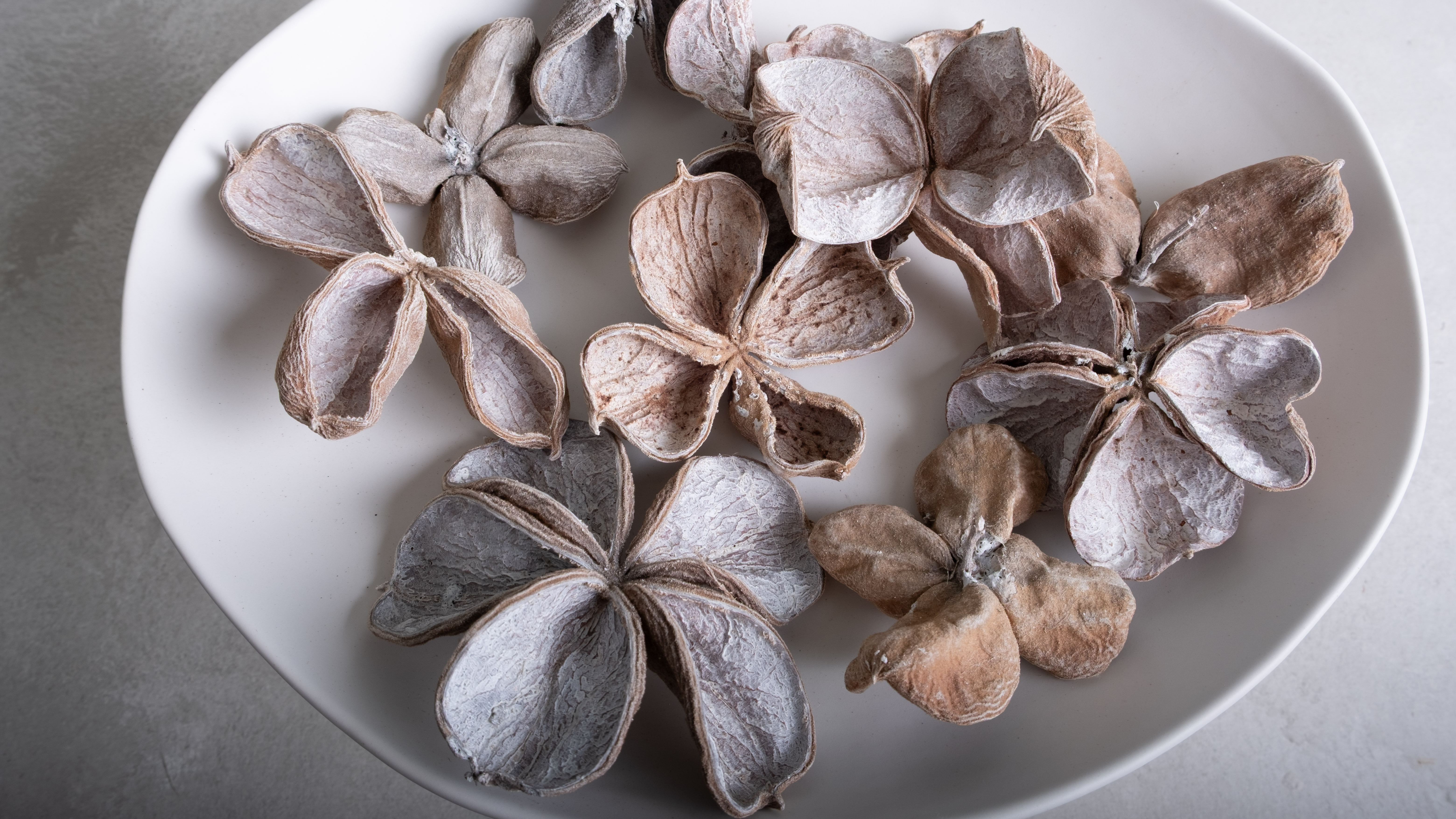 Placeholder for Website dried fruits and seeds