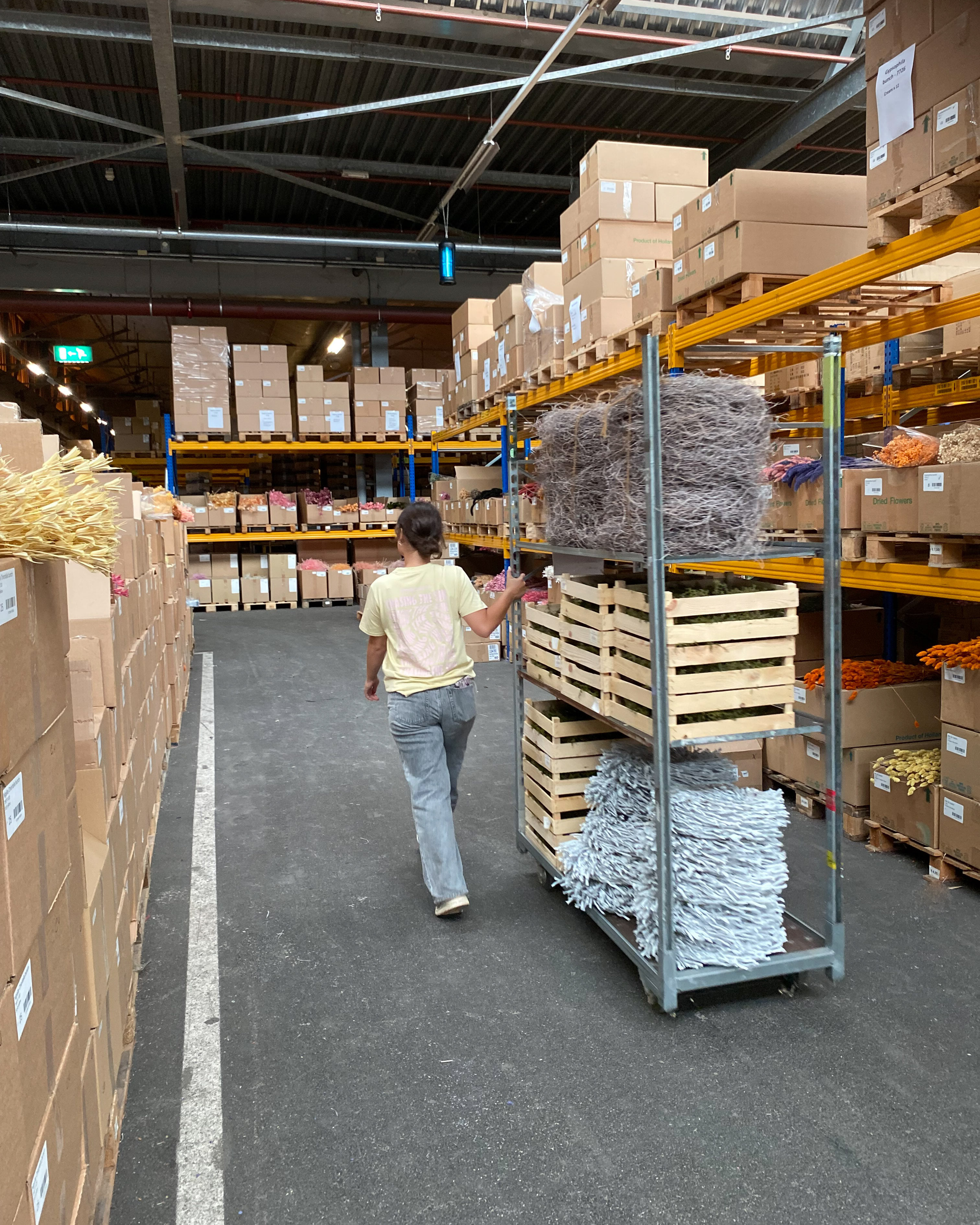 Placeholder for Website shopping warehouse 4