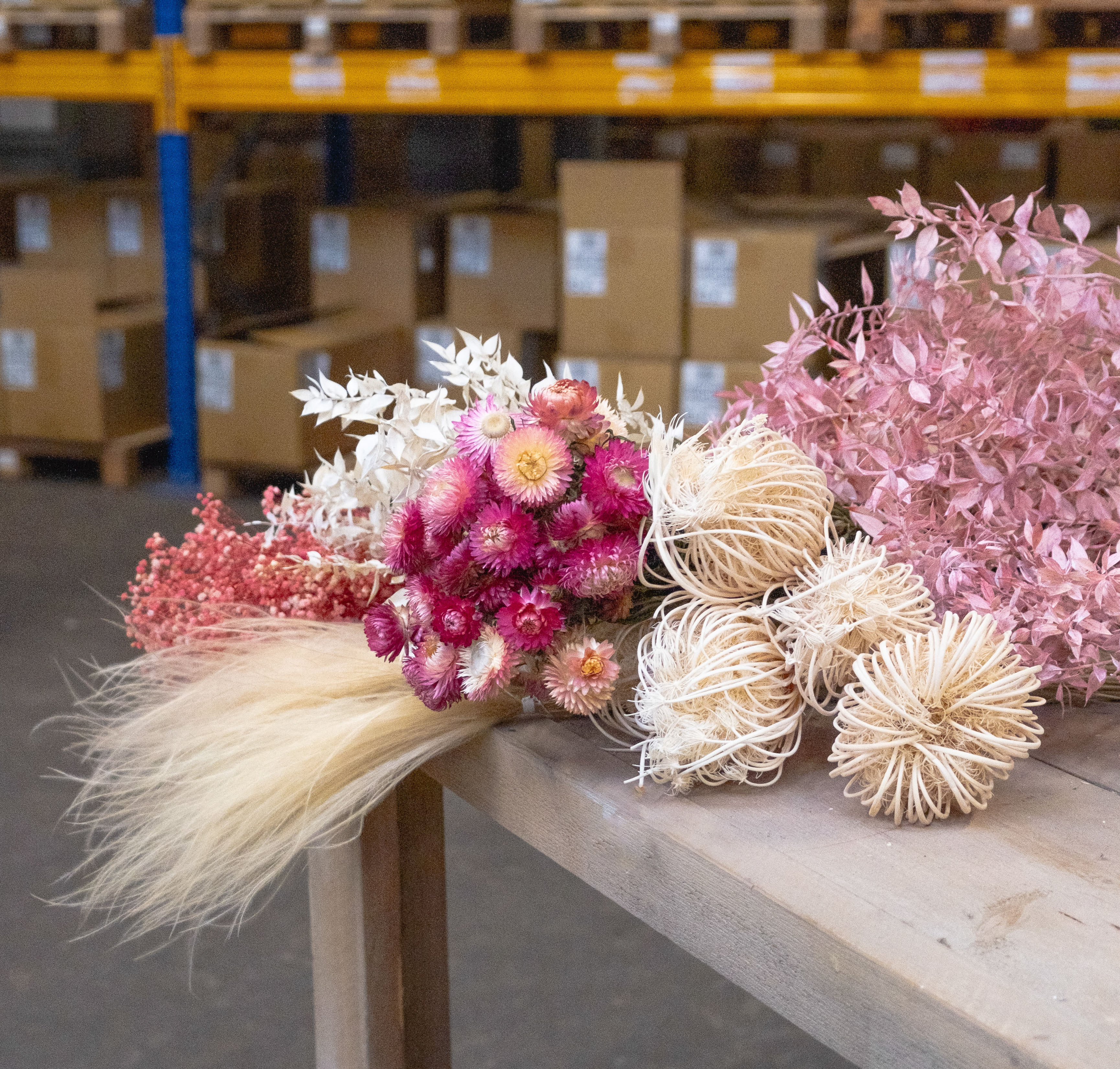 Dried flowers