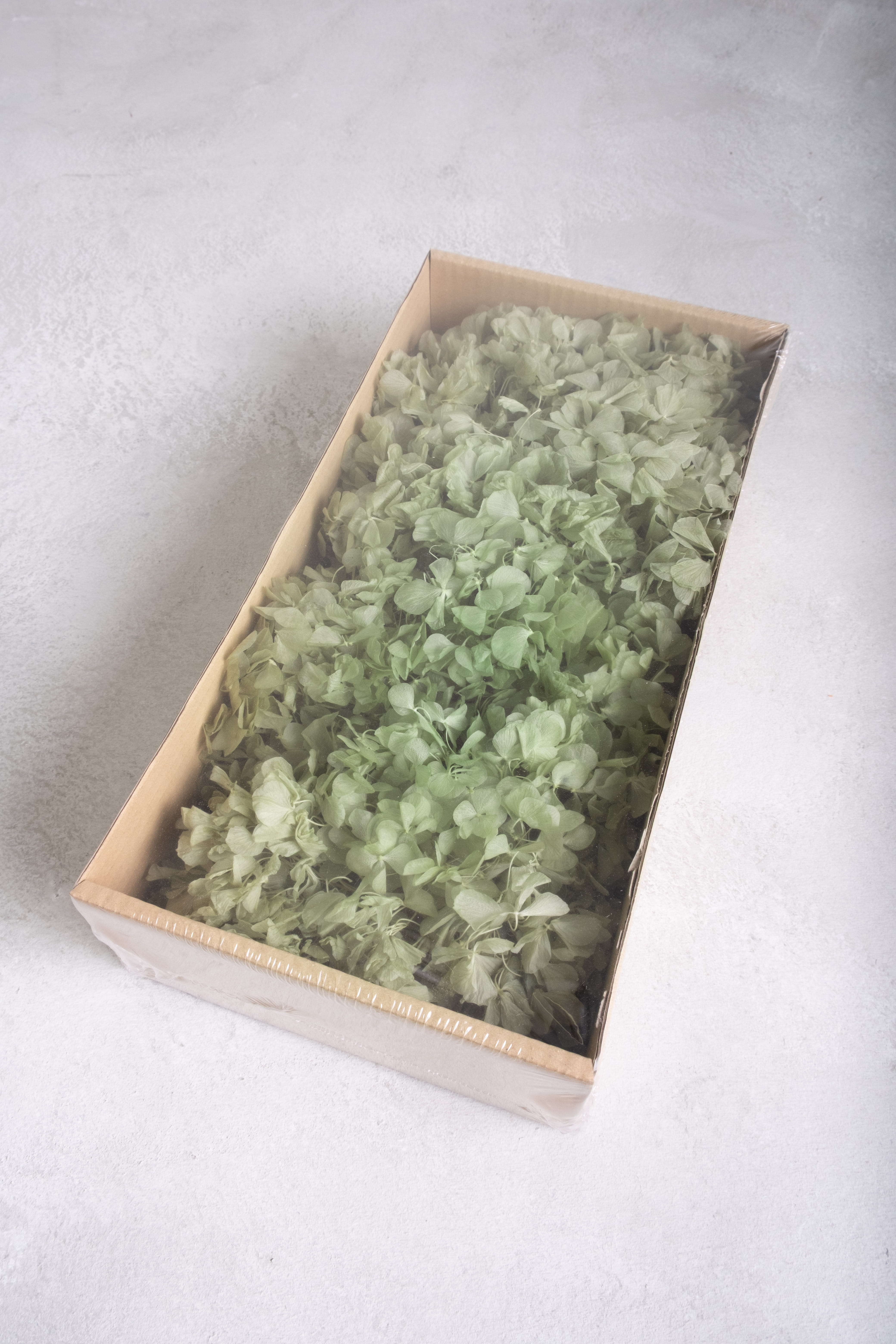 Ice green
