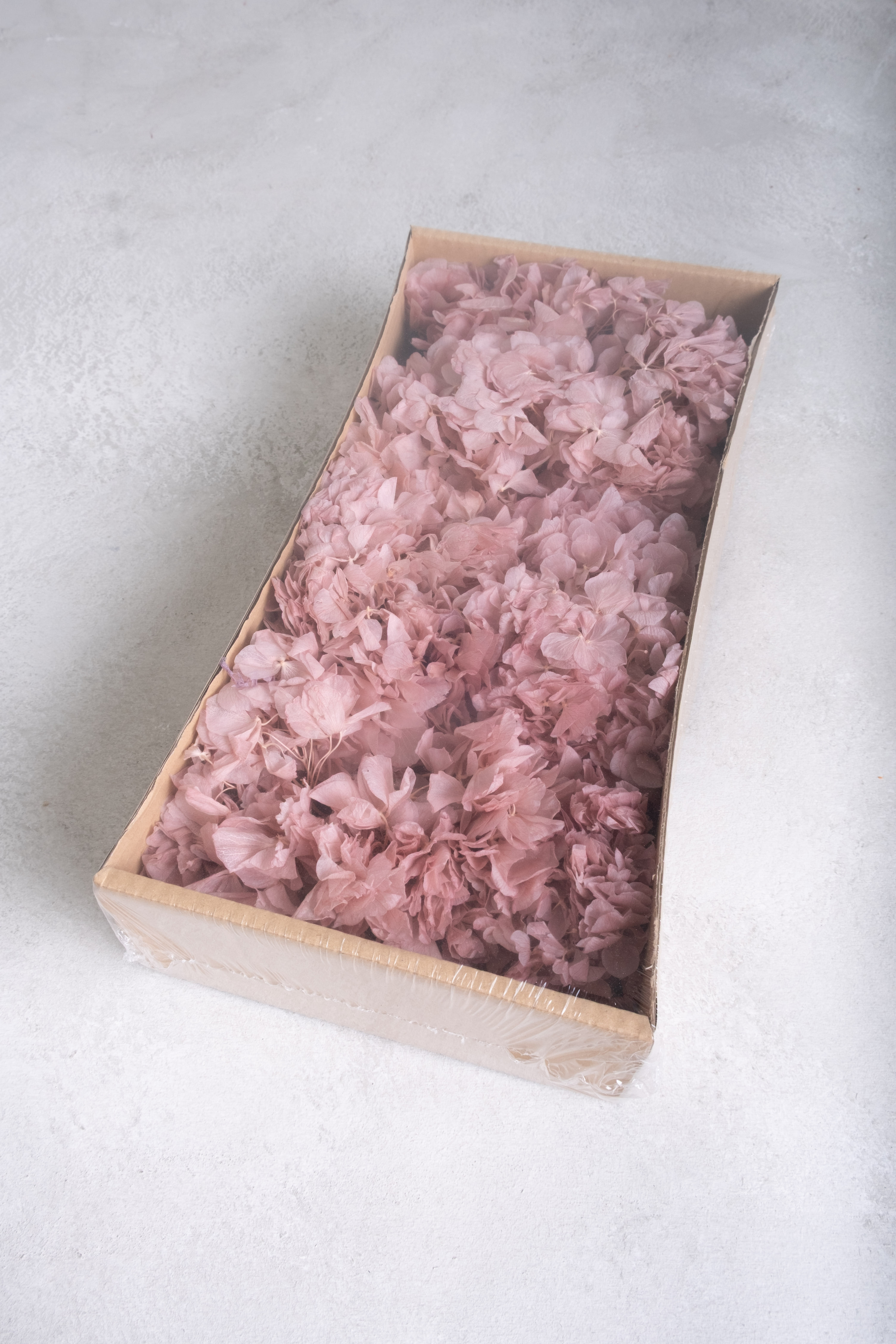 Old pink