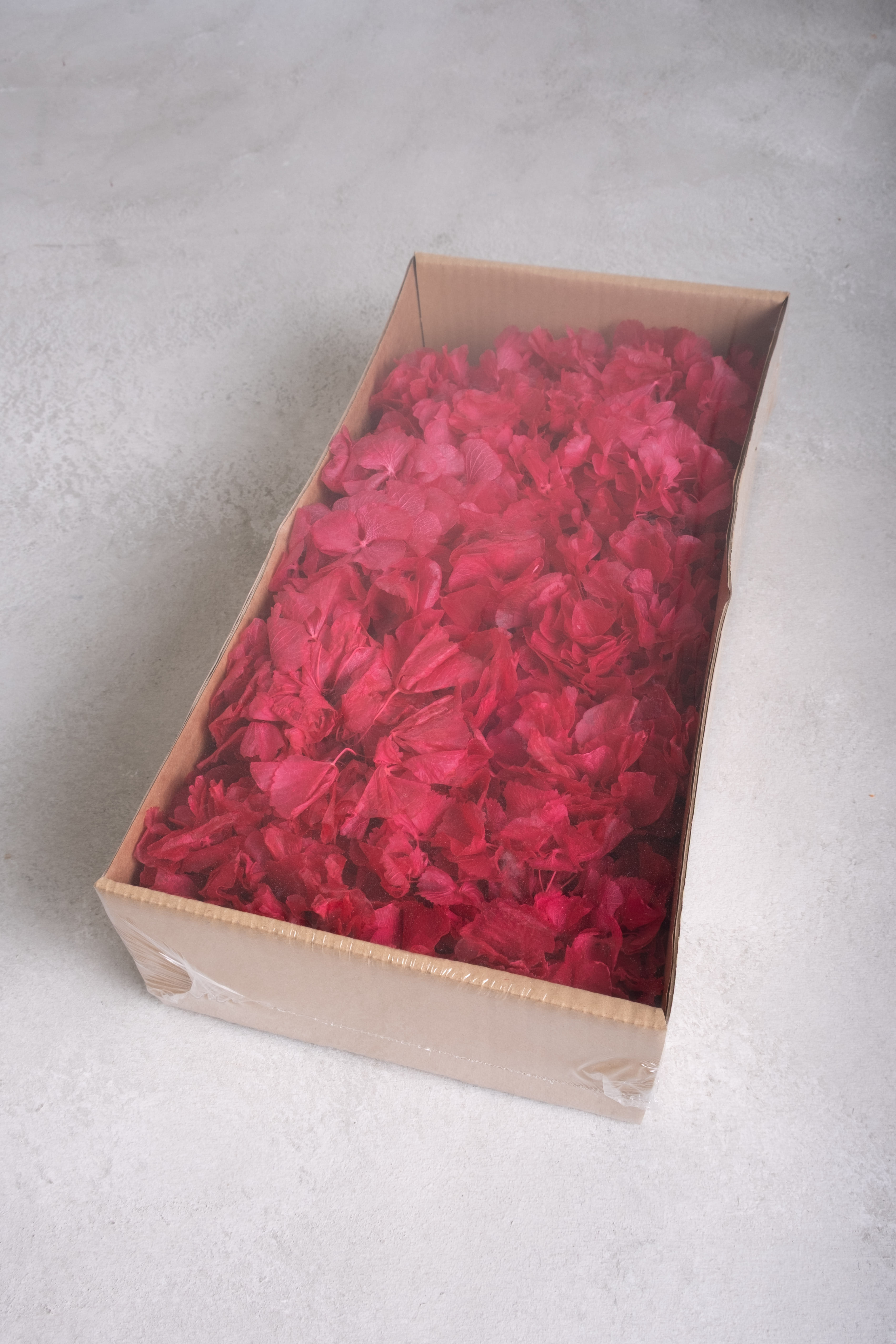 Raspberry