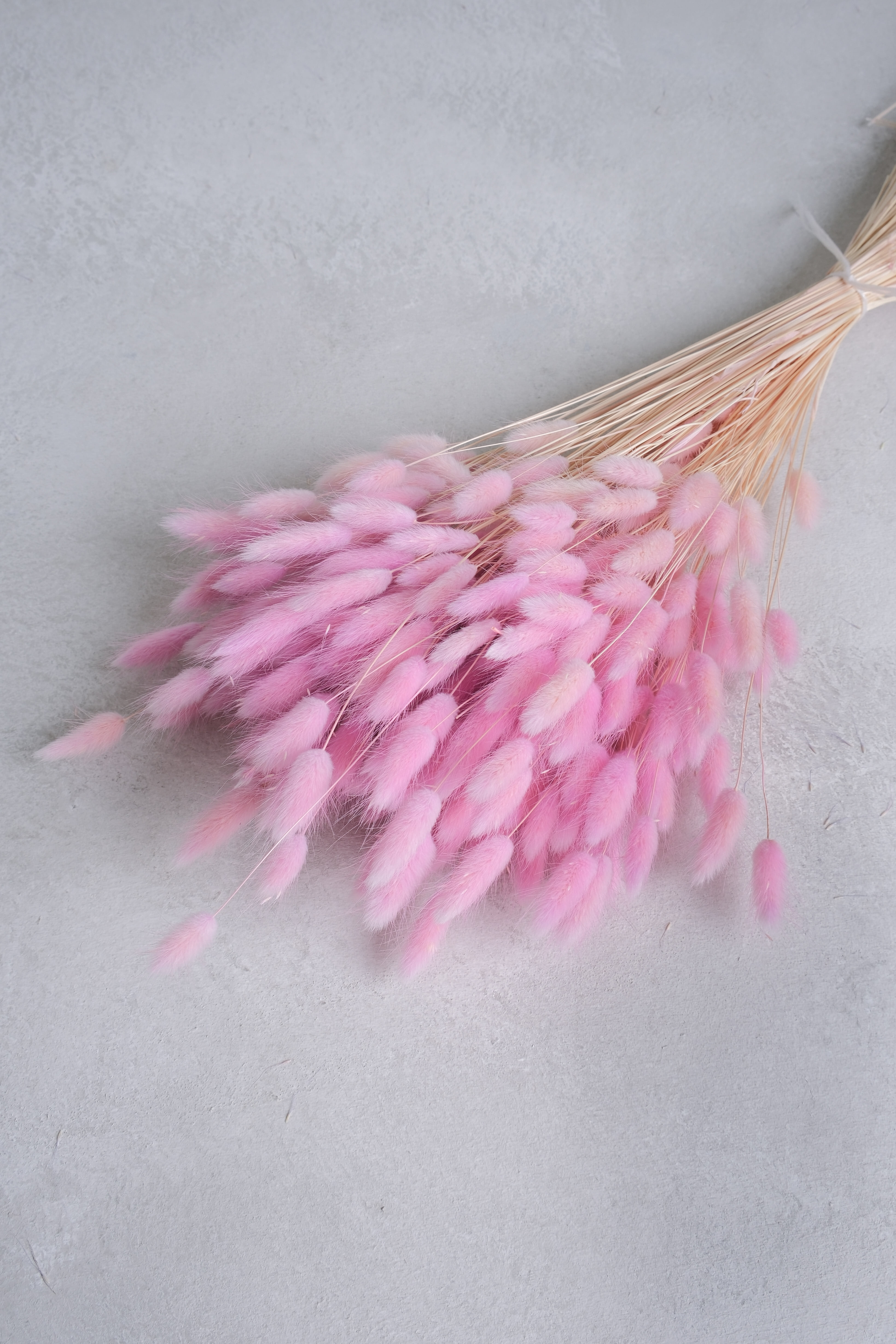 Soft pink